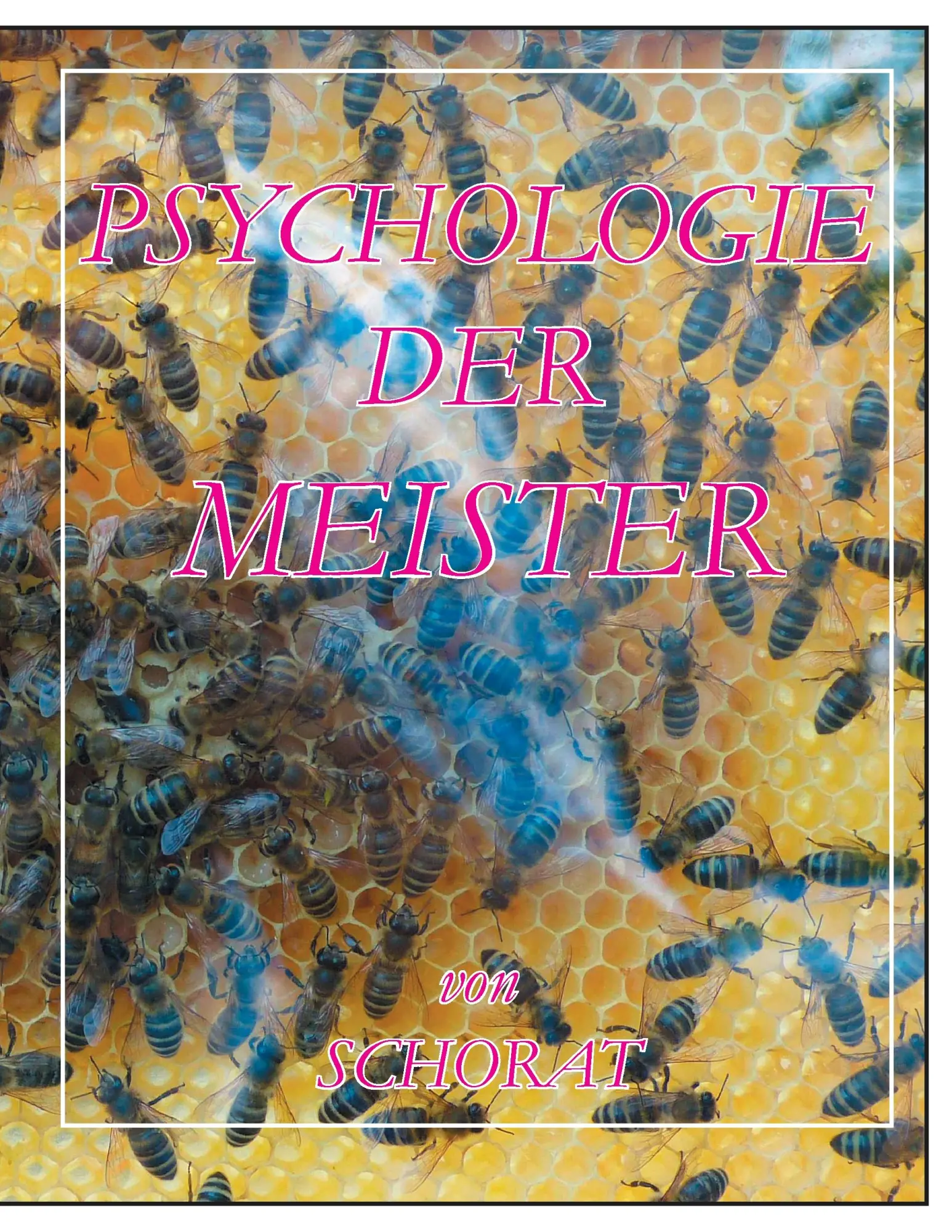 Cover: 9783932209482 | Psychologie der Meister | Wolfgang Schorat | Taschenbuch | 428 S.