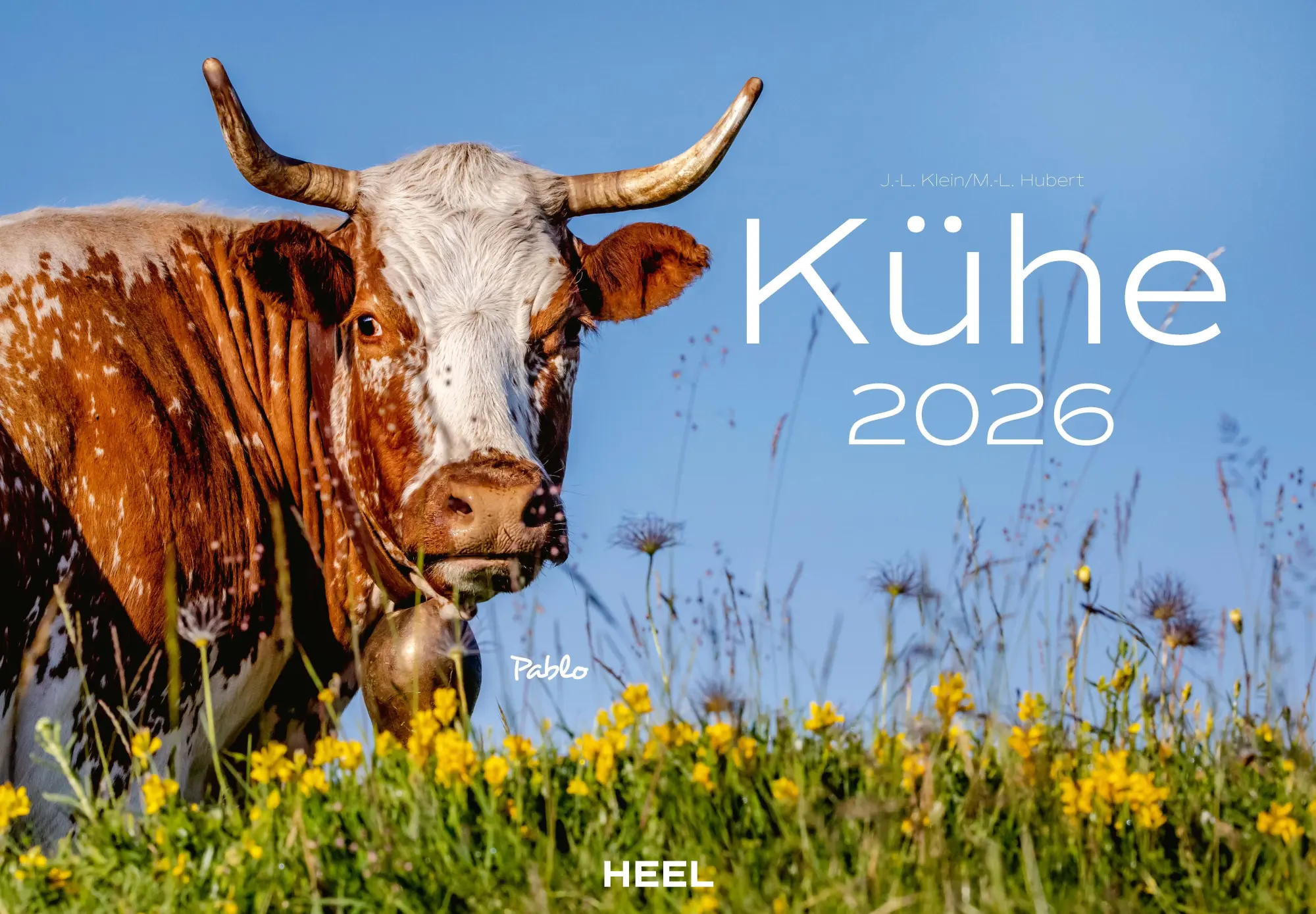 Cover: 9783966649582 | Kühe Kalender 2026 Wandkalender | J. -L. Klein (u. a.) | Kalender