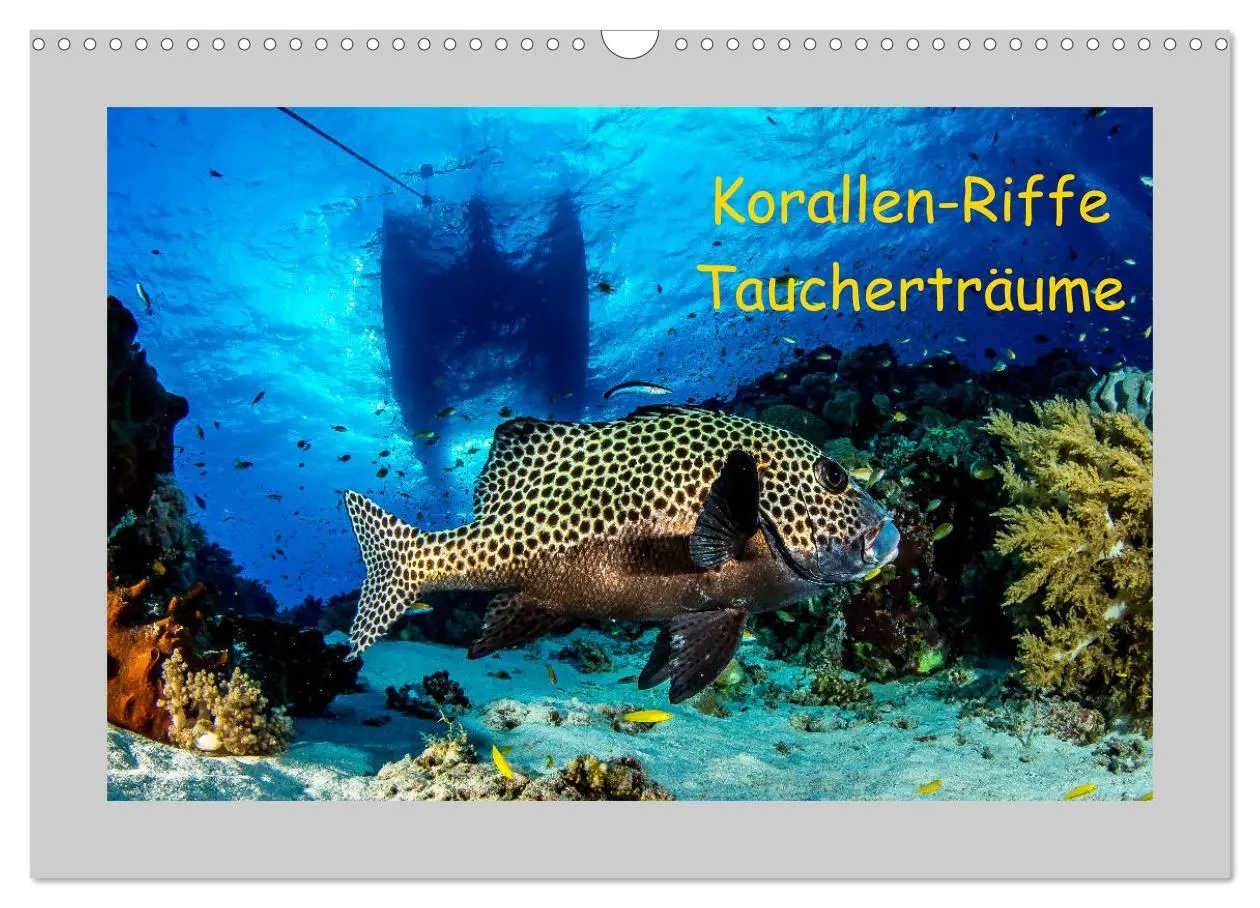 Cover: 9783457839782 | Korallen-Riffe Taucherträume (Wandkalender 2026 DIN A3 quer),...