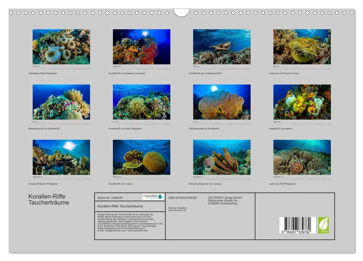 Bild: 9783457839782 | Korallen-Riffe Taucherträume (Wandkalender 2026 DIN A3 quer),...