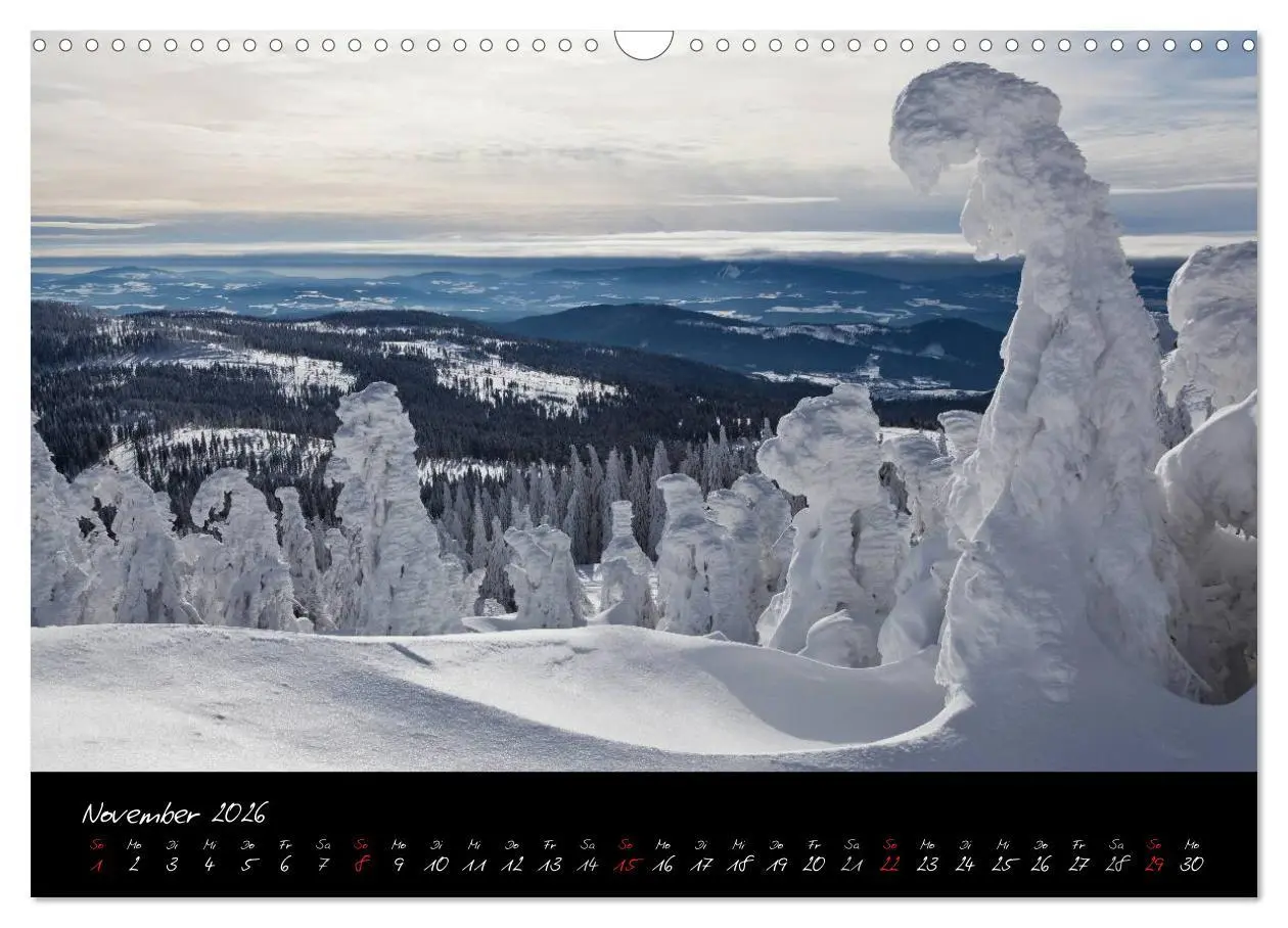 Bild: 9783516239782 | Bayerischer Wald (Wandkalender 2026 DIN A3 quer), CALVENDO...