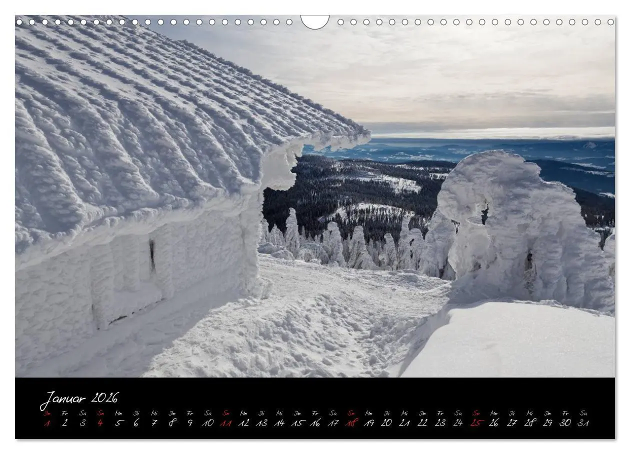 Bild: 9783516239782 | Bayerischer Wald (Wandkalender 2026 DIN A3 quer), CALVENDO...