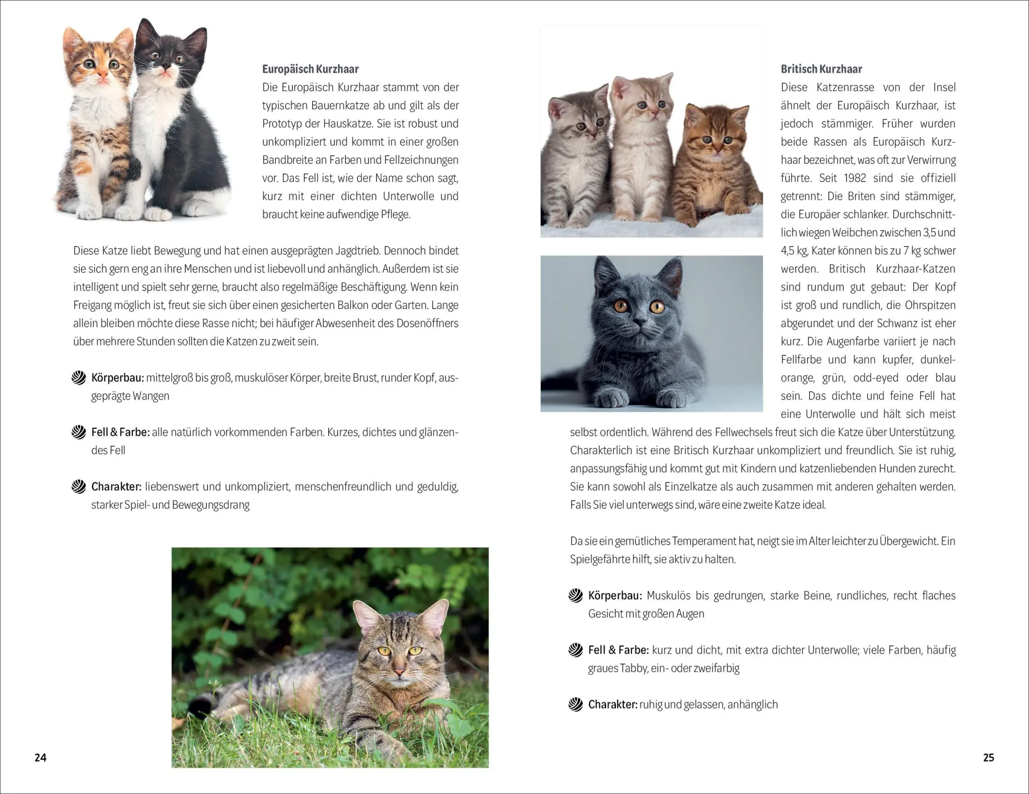 Bild: 9783838839882 | 101 Dinge, die man wissen muss, wenn ein Katzenbaby einzieht | Buch