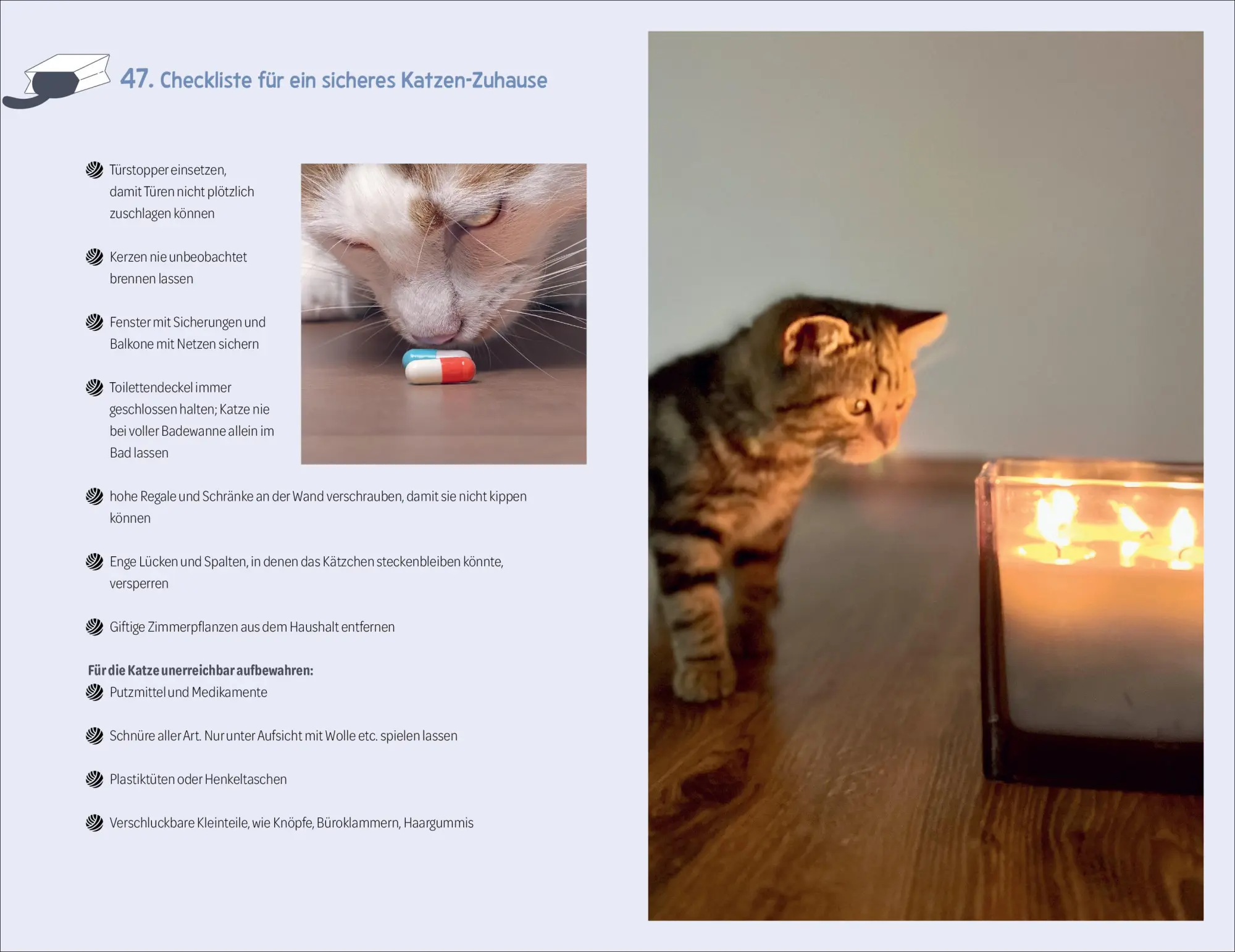 Bild: 9783838839882 | 101 Dinge, die man wissen muss, wenn ein Katzenbaby einzieht | Buch