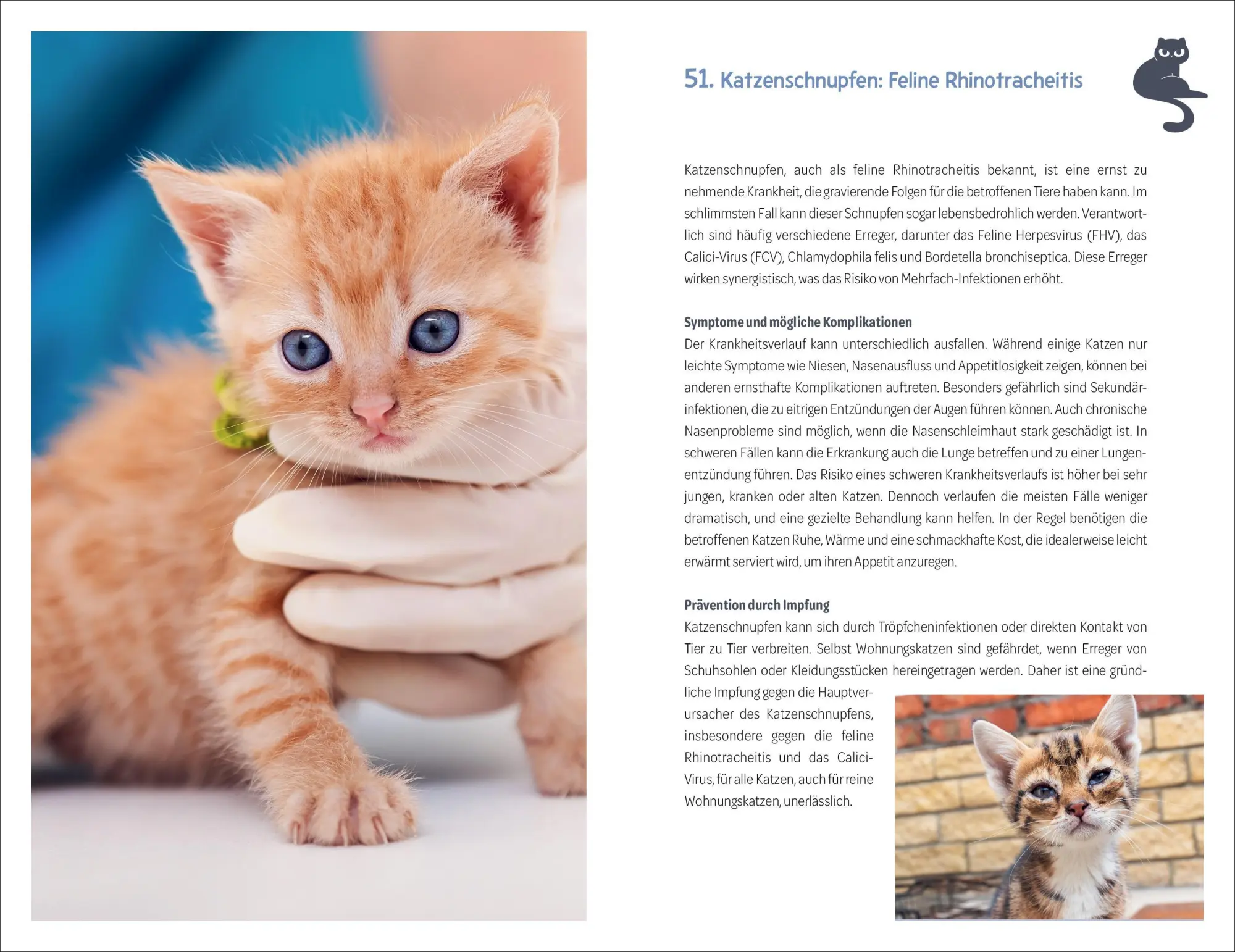 Bild: 9783838839882 | 101 Dinge, die man wissen muss, wenn ein Katzenbaby einzieht | Buch
