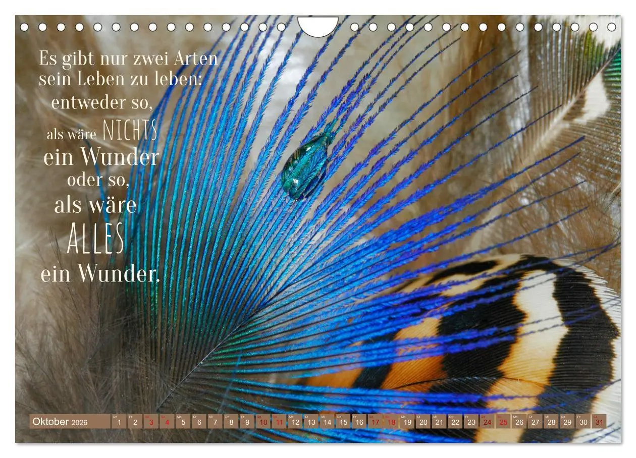Bild: 9783457749982 | Jeder ist ein Genie! Zitate von Albert Einstein (Wandkalender 2026...