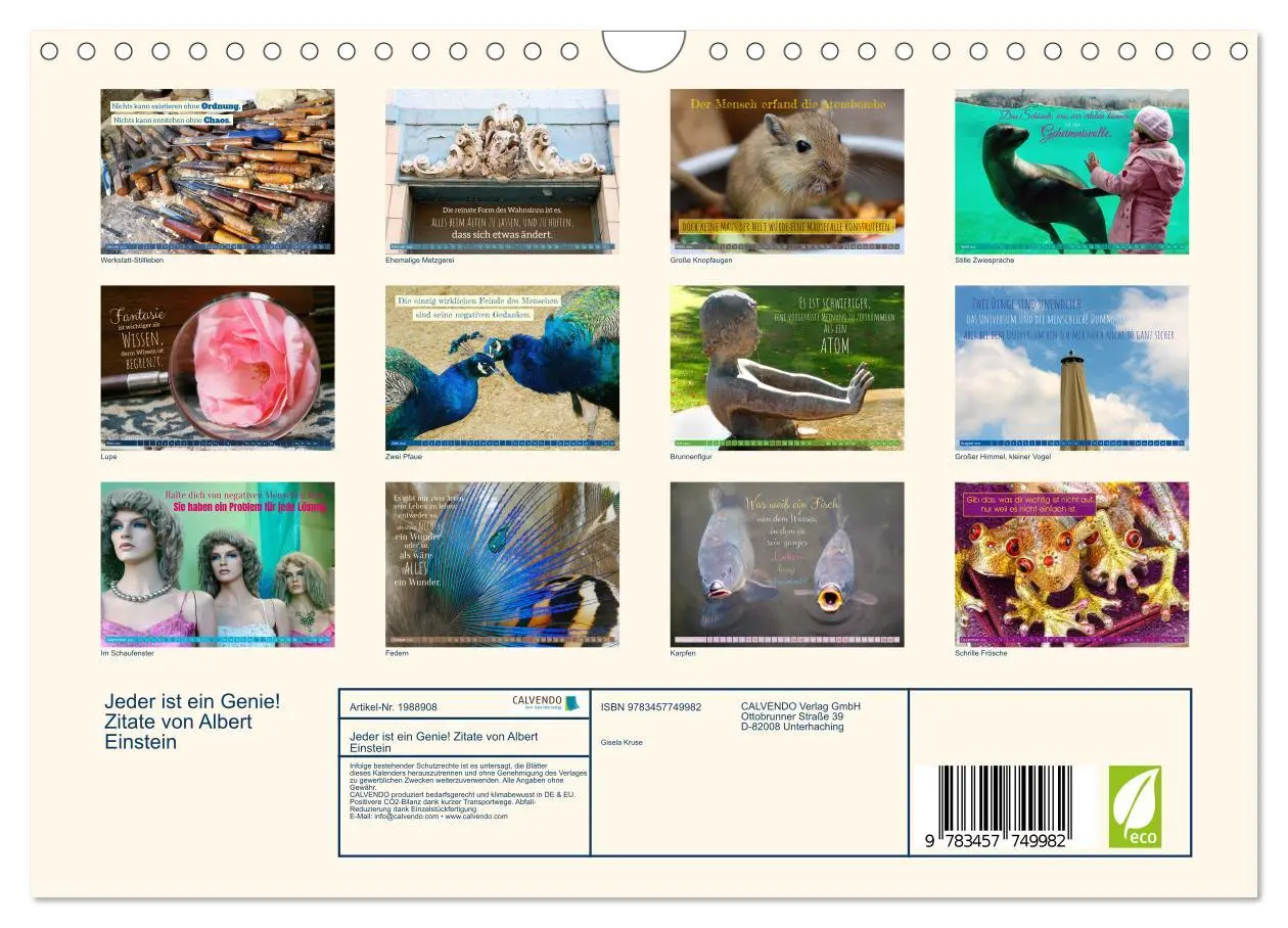 Bild: 9783457749982 | Jeder ist ein Genie! Zitate von Albert Einstein (Wandkalender 2026...