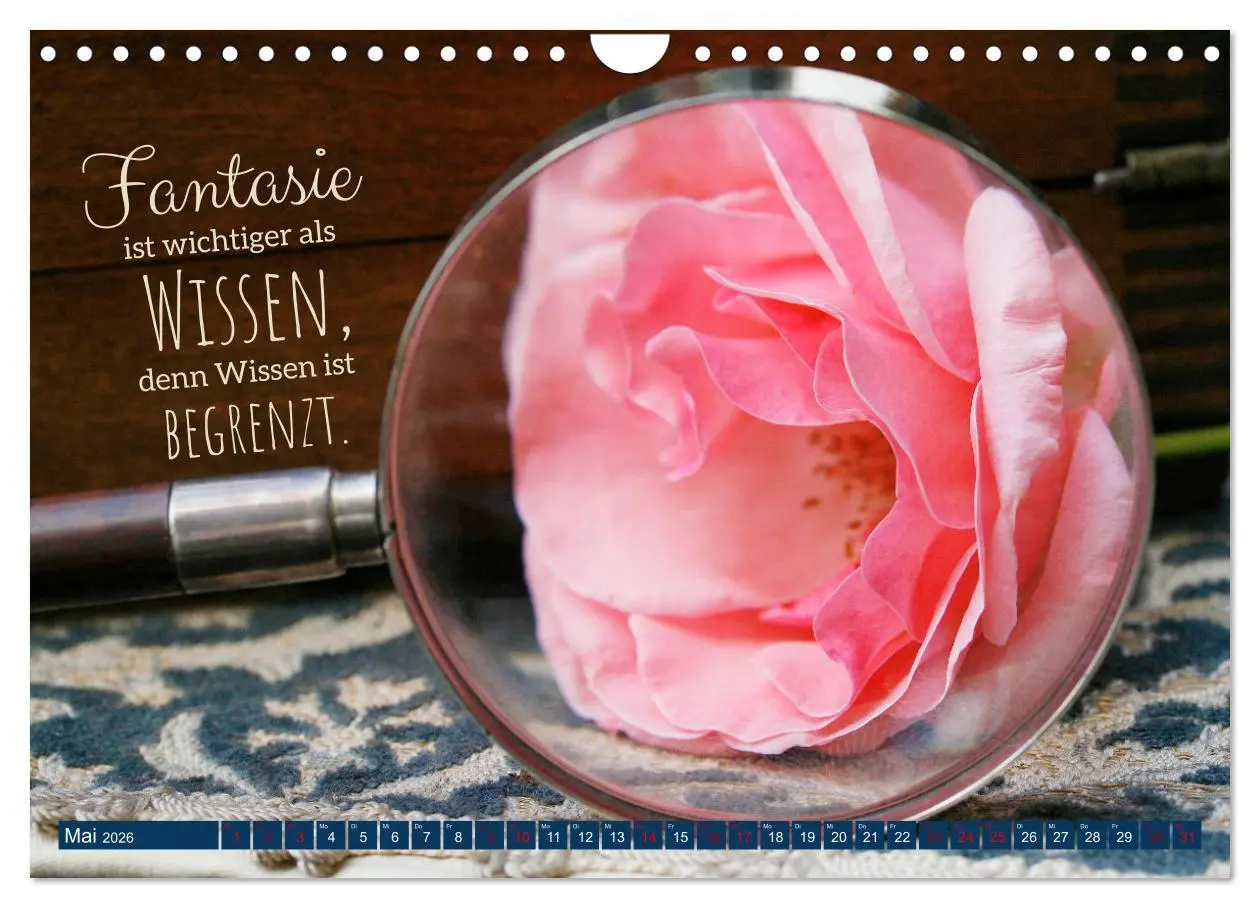 Bild: 9783457749982 | Jeder ist ein Genie! Zitate von Albert Einstein (Wandkalender 2026...