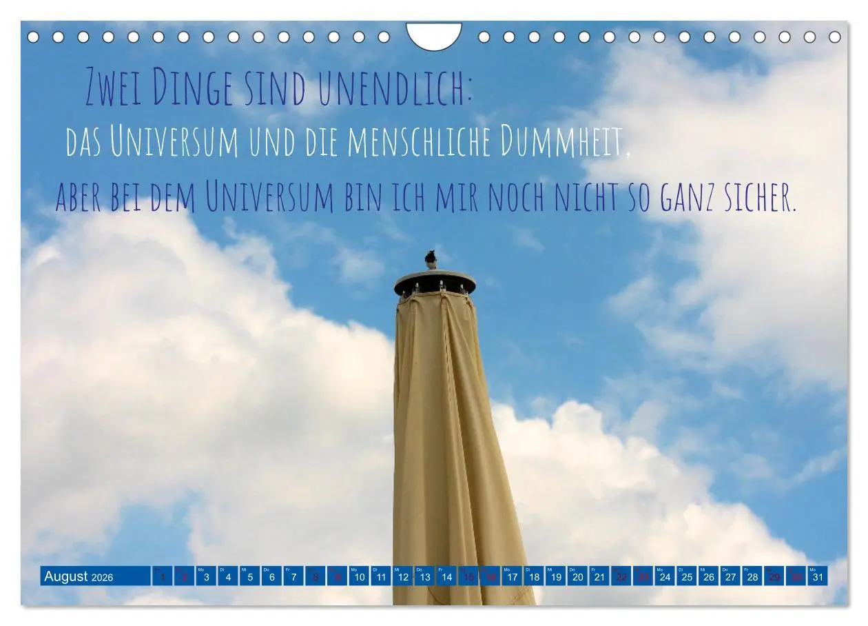 Bild: 9783457749982 | Jeder ist ein Genie! Zitate von Albert Einstein (Wandkalender 2026...