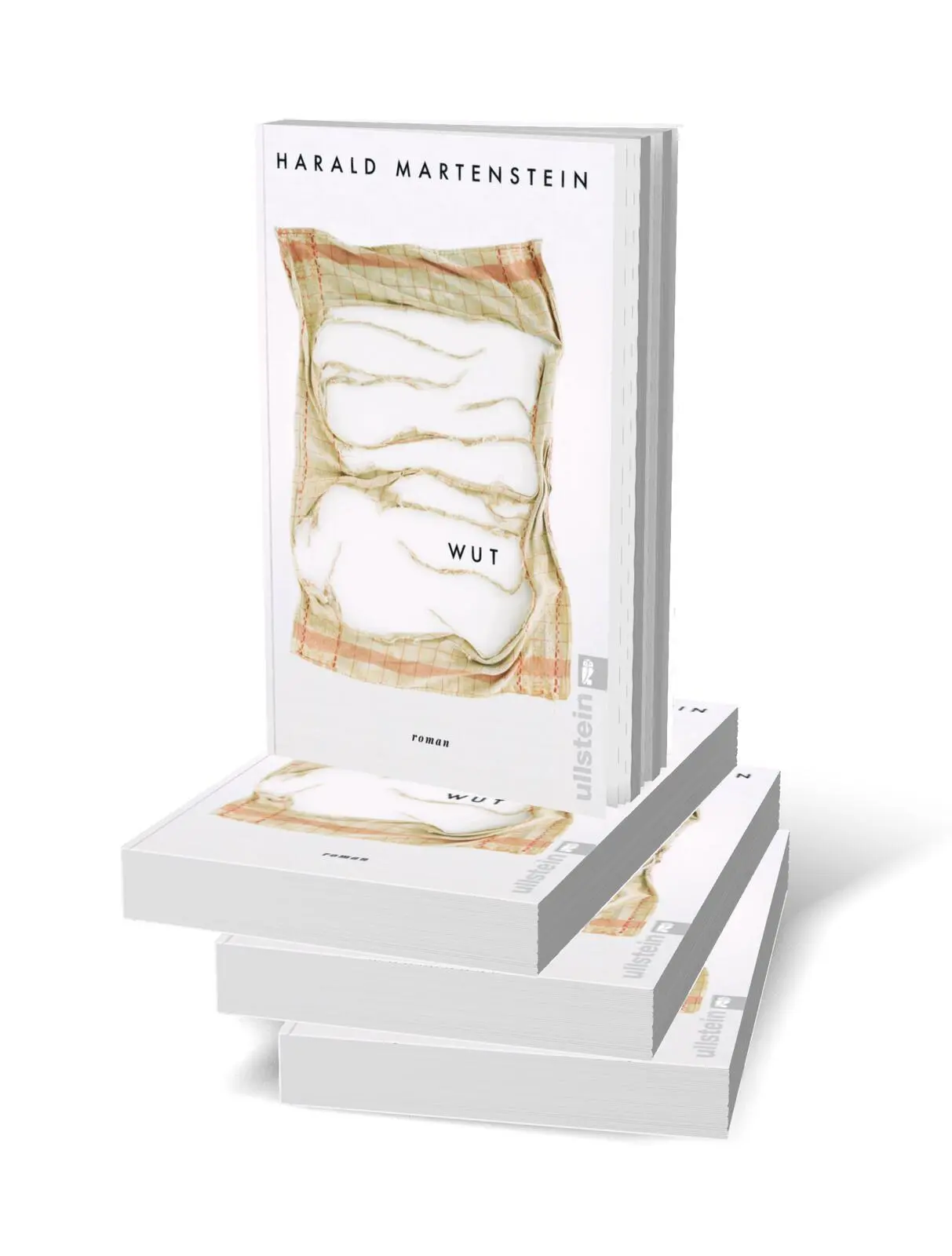 Bild: 9783548069982 | Wut | Roman Harald Martensteins autobiografischer Roman | Martenstein