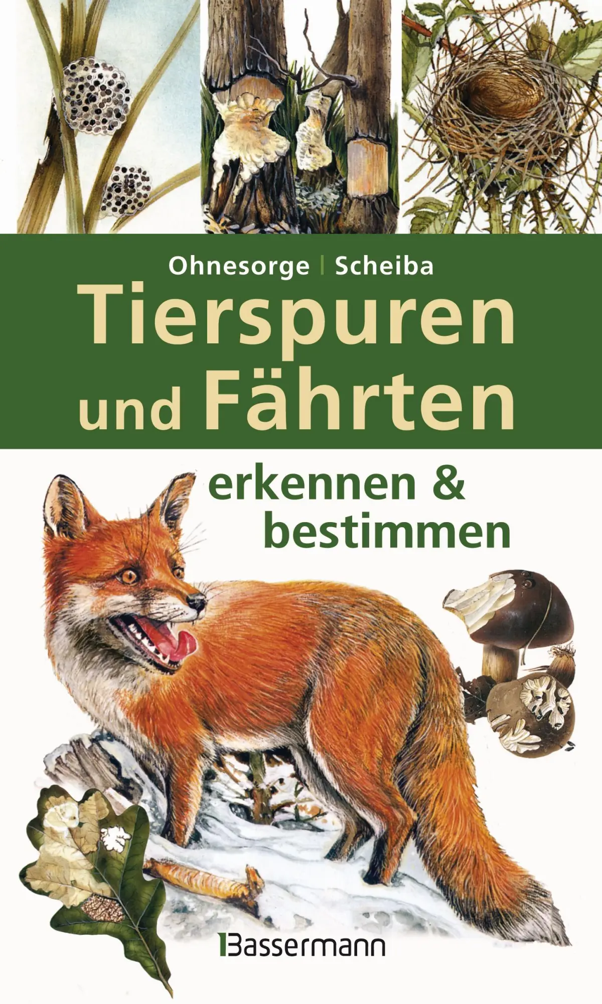 Cover: 9783809429982 | Tierspuren und Fährten erkennen &amp; bestimmen | Gerd Ohnesorge (u. a.)