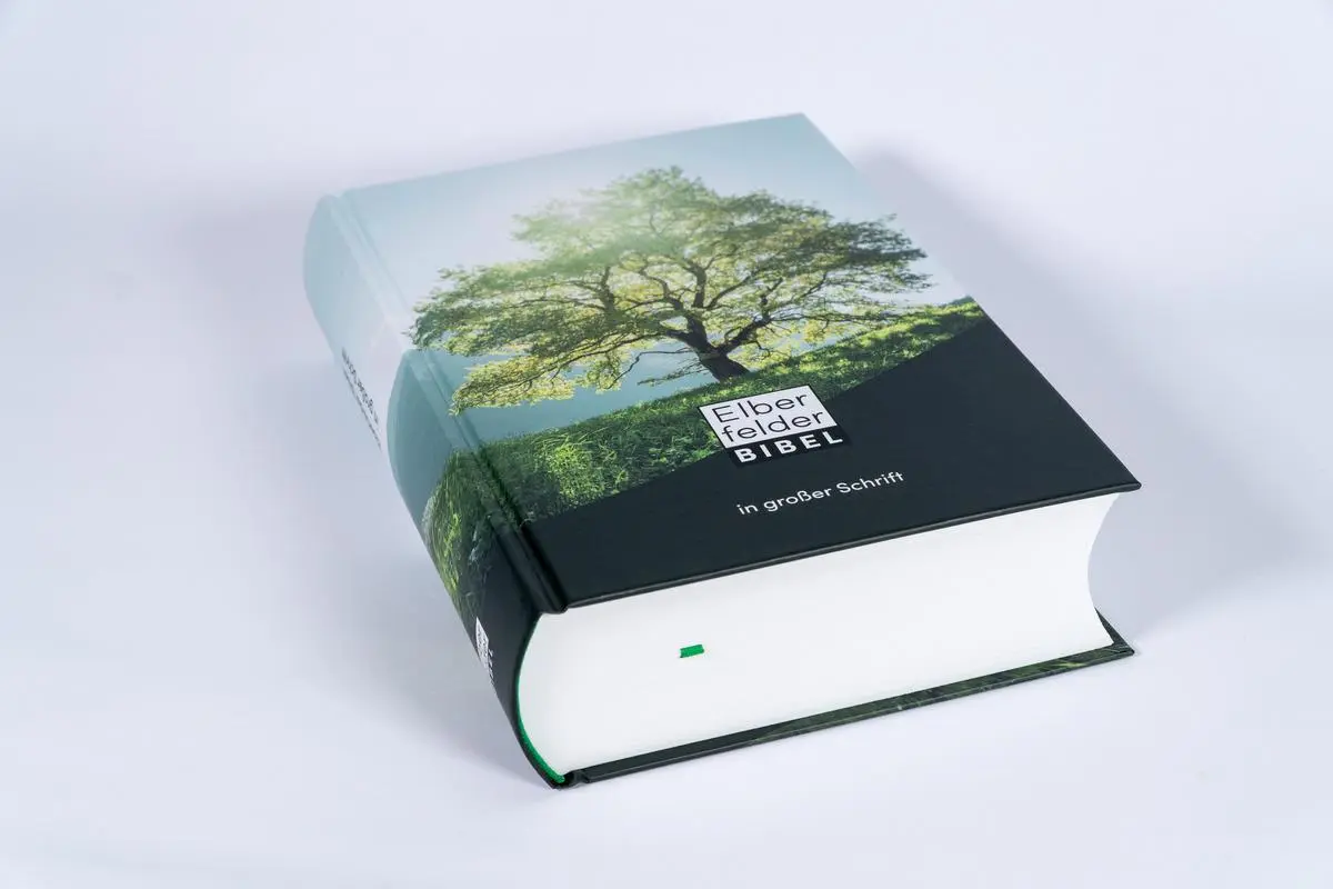 Bild: 9783417020083 | Elberfelder Bibel in großer Schrift | Buch | 1984 S. | Deutsch | 2022