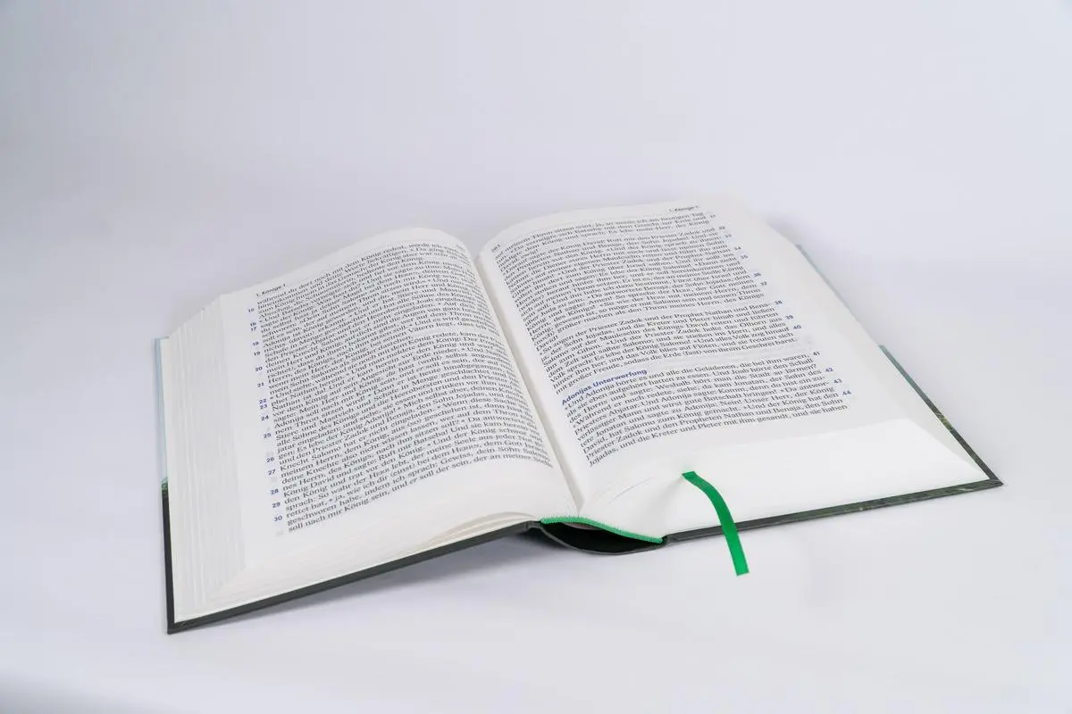 Bild: 9783417020083 | Elberfelder Bibel in großer Schrift | Buch | 1984 S. | Deutsch | 2022