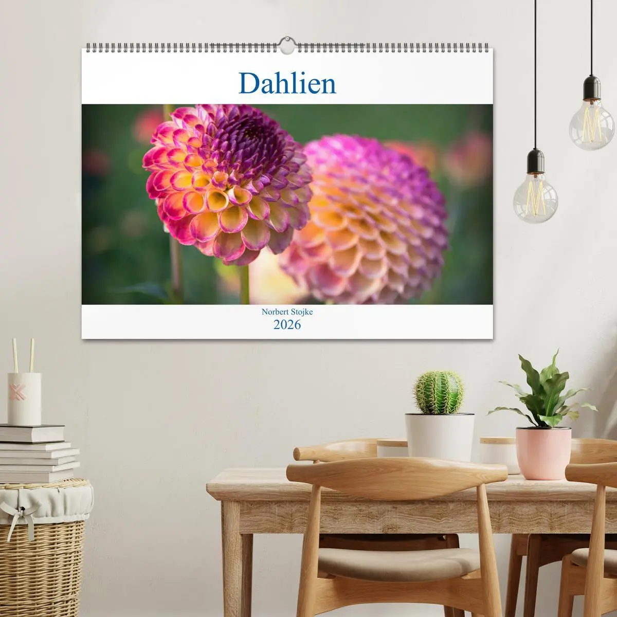 Bild: 9783457930083 | Dahlien - Blumenwunder der Natur (Wandkalender 2026 DIN A2 quer),...