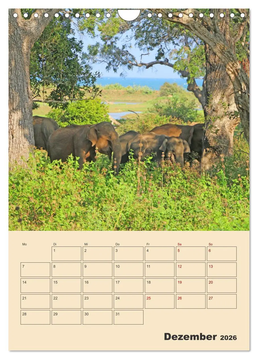 Bild: 9783516330083 | Sri Lanka - Terminplaner (Wandkalender 2026 DIN A4 hoch), CALVENDO...