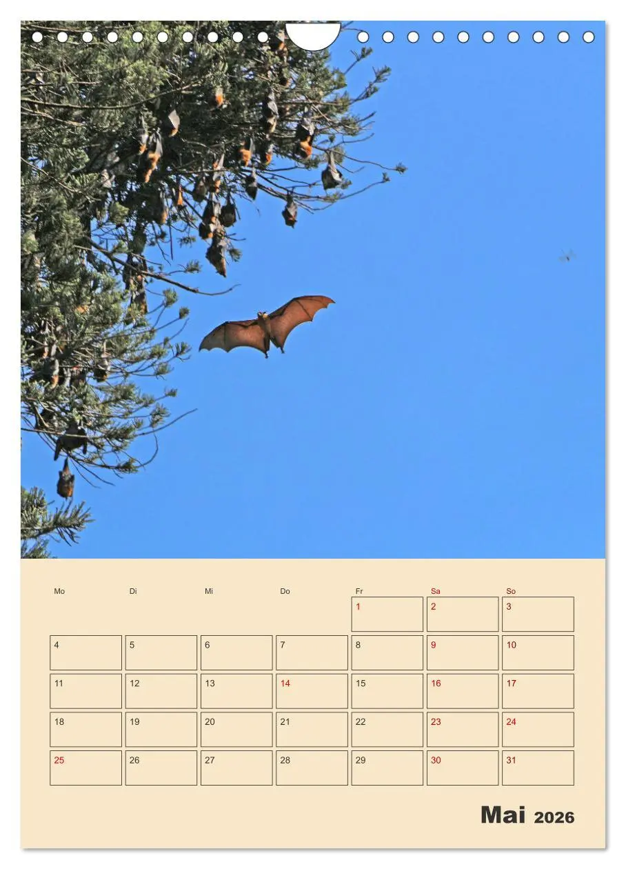 Bild: 9783516330083 | Sri Lanka - Terminplaner (Wandkalender 2026 DIN A4 hoch), CALVENDO...