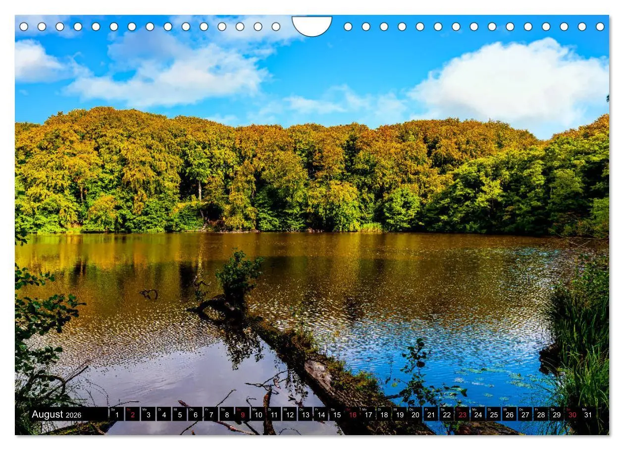 Bild: 9783457770283 | OSTSEE PERLE RÜGEN Michael Jaster (Wandkalender 2026 DIN A4 quer),...