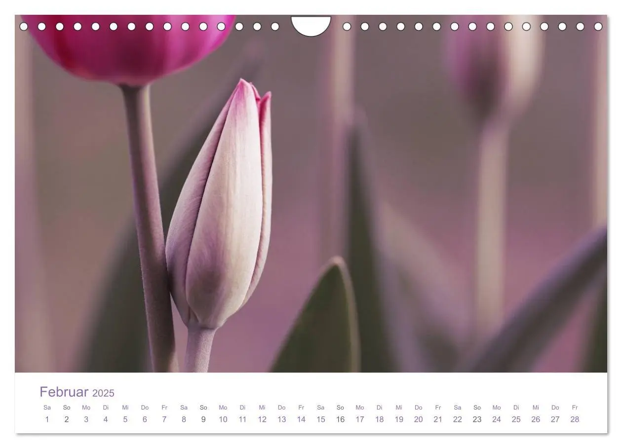 Bild: 9783435810383 | Blumen &amp; Blüten Träume (Wandkalender 2025 DIN A4 quer), CALVENDO...