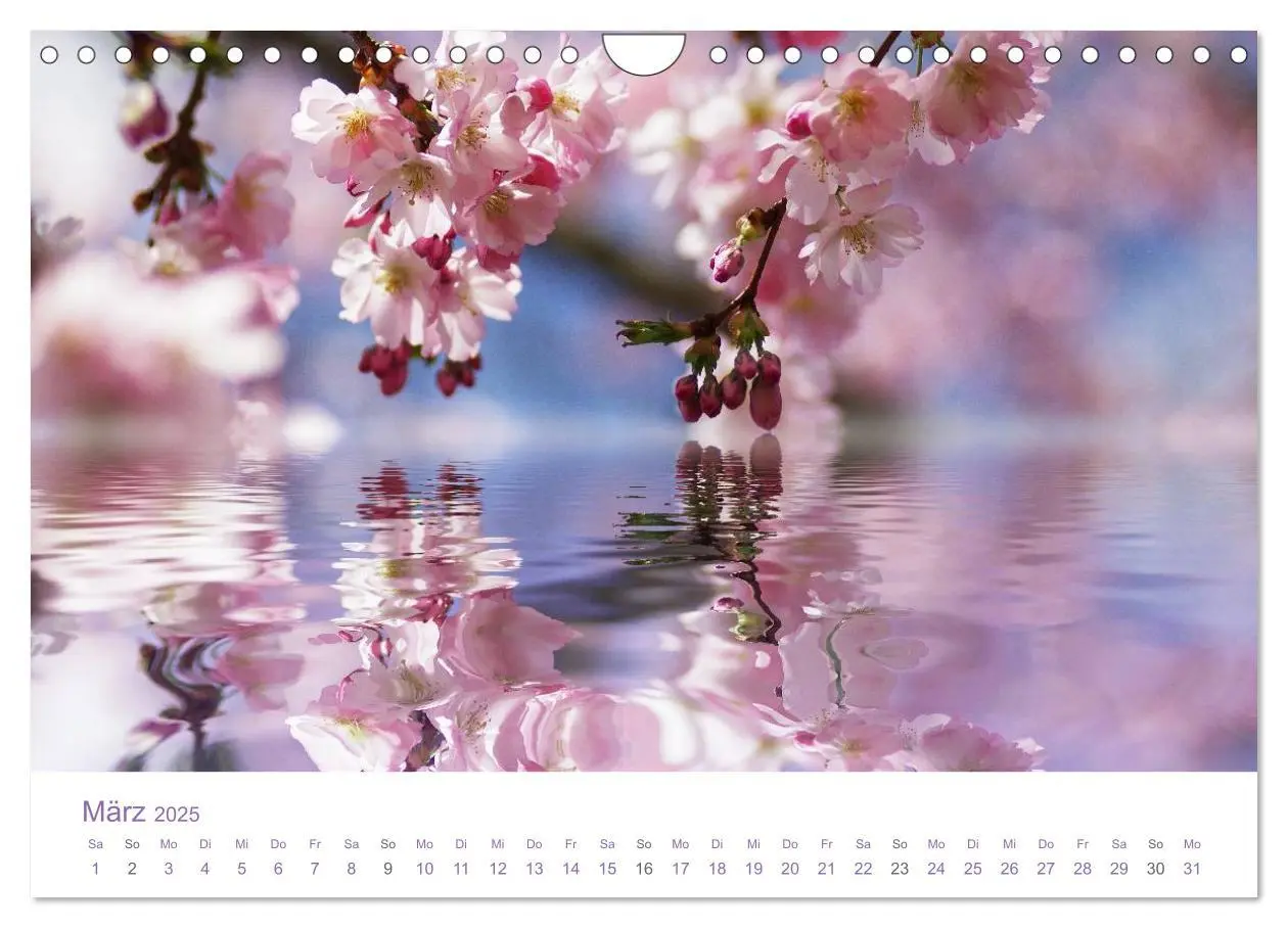 Bild: 9783435810383 | Blumen &amp; Blüten Träume (Wandkalender 2025 DIN A4 quer), CALVENDO...