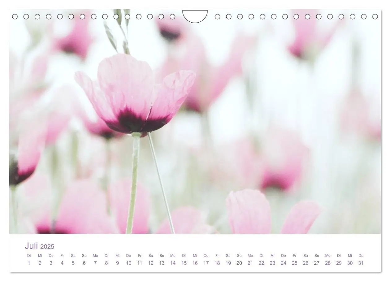 Bild: 9783435810383 | Blumen &amp; Blüten Träume (Wandkalender 2025 DIN A4 quer), CALVENDO...