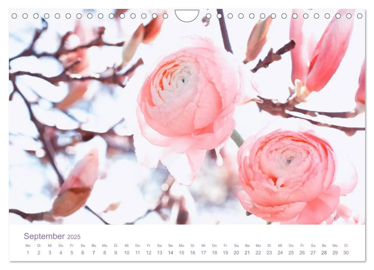 Bild: 9783435810383 | Blumen &amp; Blüten Träume (Wandkalender 2025 DIN A4 quer), CALVENDO...