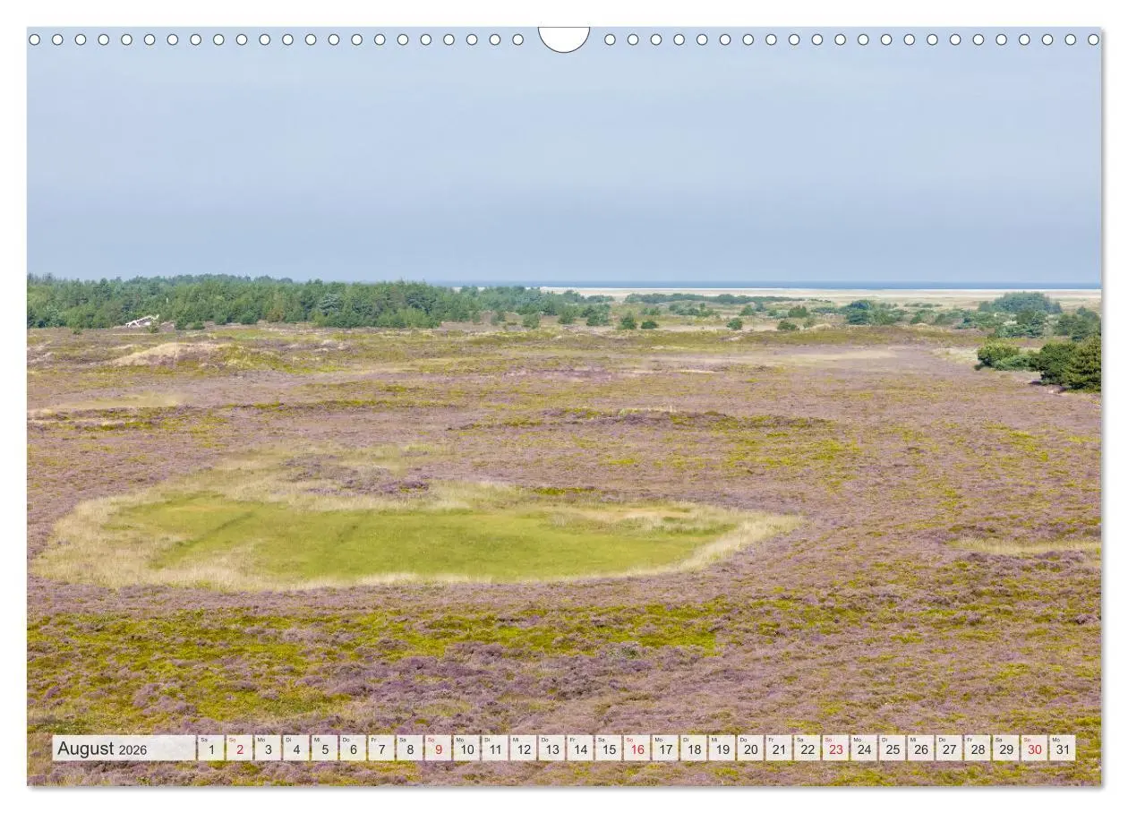 Bild: 9783516160383 | Die Insel Römö (Wandkalender 2026 DIN A3 quer), CALVENDO...