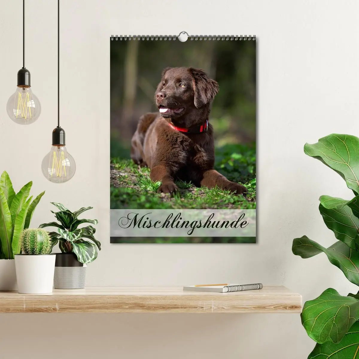 Bild: 9783516470383 | Mischlingshunde (Wandkalender 2026 DIN A3 hoch), CALVENDO...
