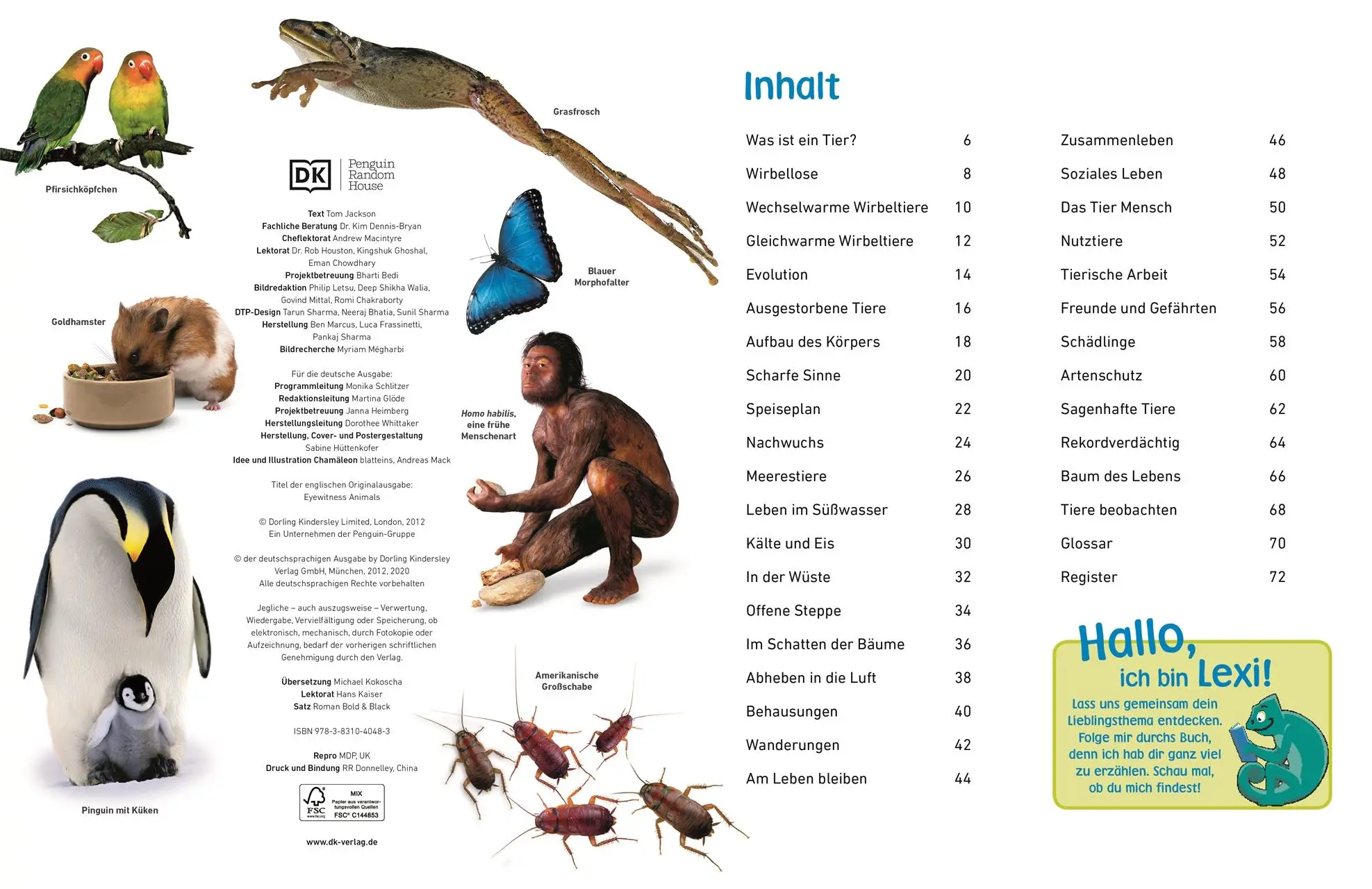Bild: 9783831040483 | memo Wissen entdecken. Tiere | Tom Jackson | Buch | 72 S. | Deutsch