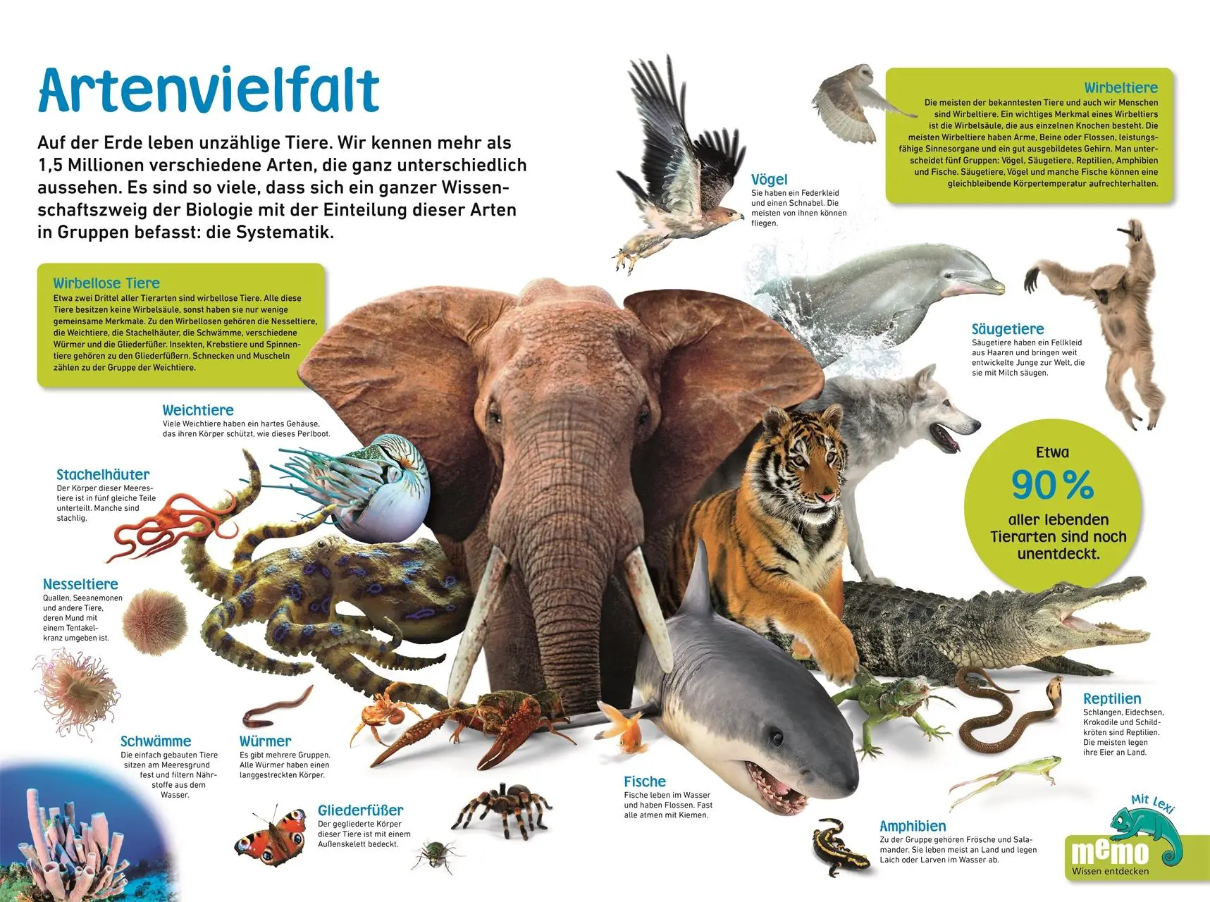 Bild: 9783831040483 | memo Wissen entdecken. Tiere | Tom Jackson | Buch | 72 S. | Deutsch