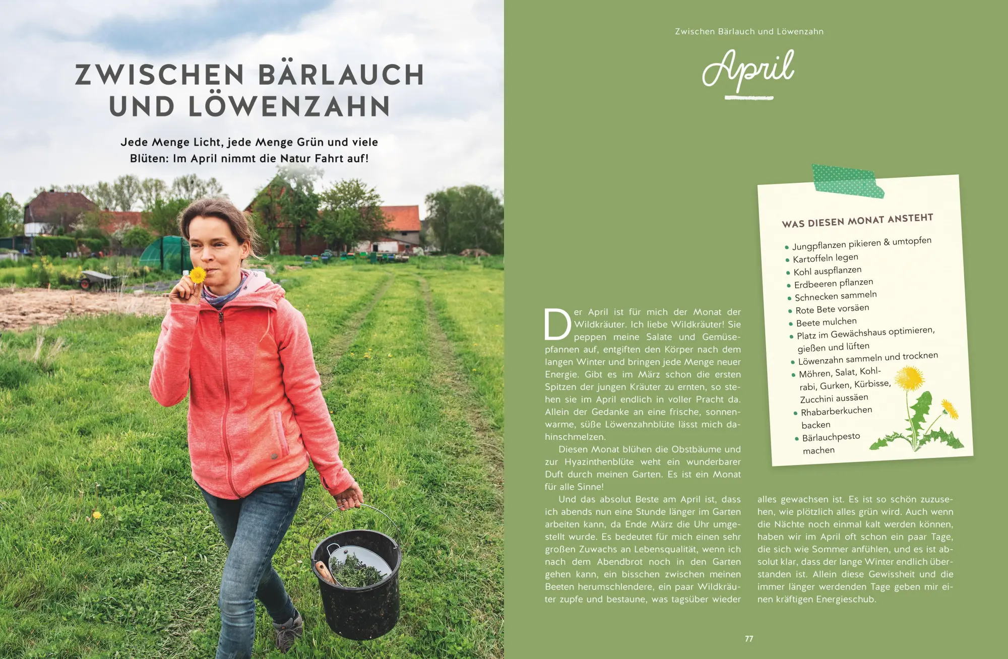 Bild: 9783833880483 | 12 Monate Gemüse ernten | Mehr ernten mit der Frühstarter-Methode