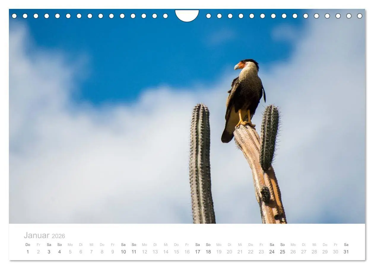 Bild: 9783457970683 | Trauminsel Curaçao (Wandkalender 2026 DIN A4 quer), CALVENDO...