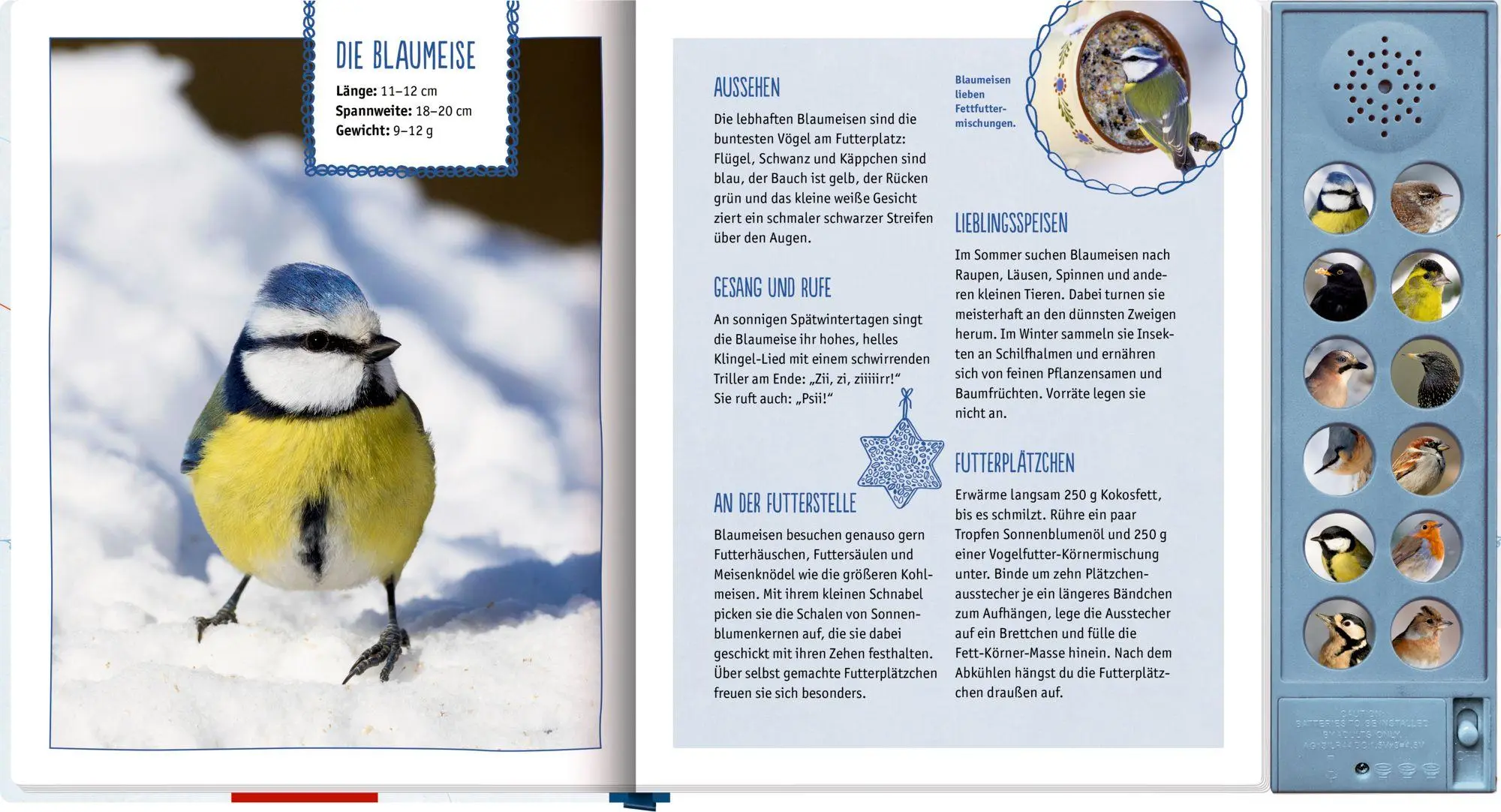 Bild: 9783649650683 | Vögel im Winter bei dir zu Gast | Mit 12 echten Vogelstimmen | Oftring