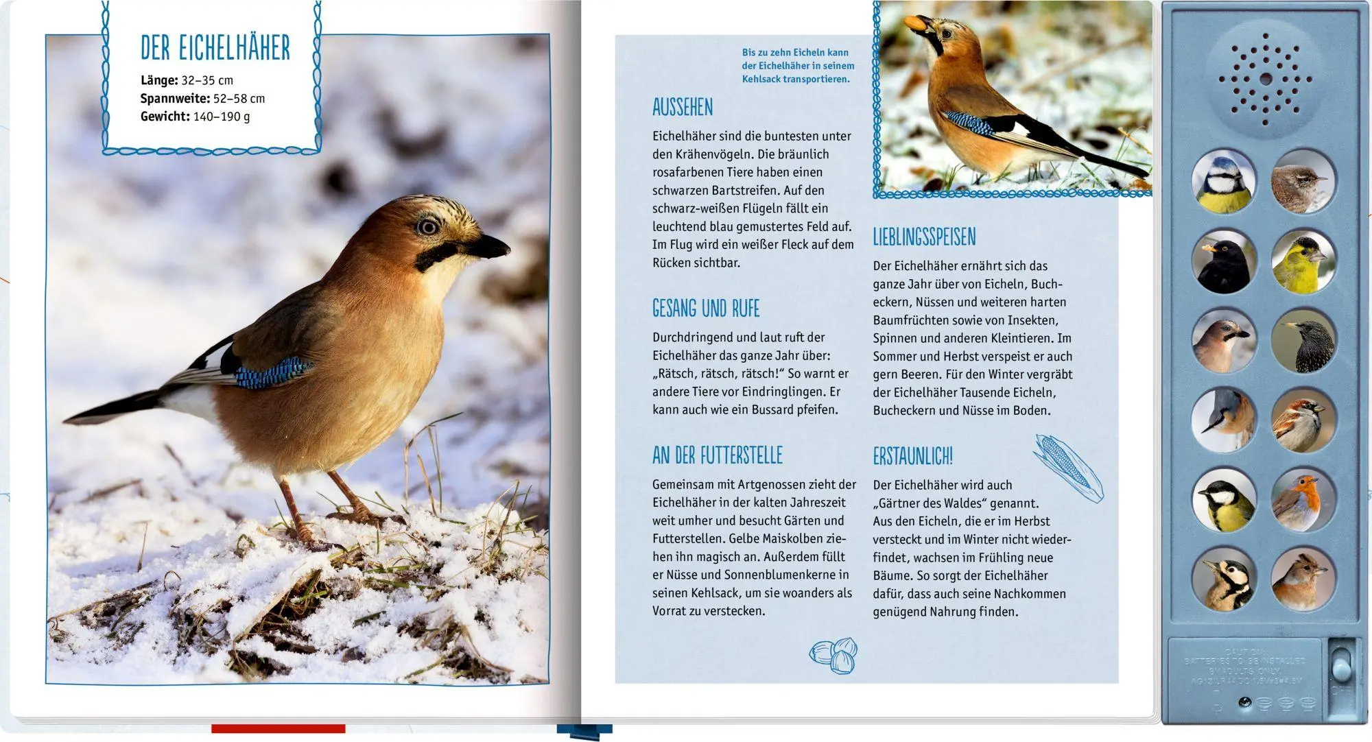Bild: 9783649650683 | Vögel im Winter bei dir zu Gast | Mit 12 echten Vogelstimmen | Oftring