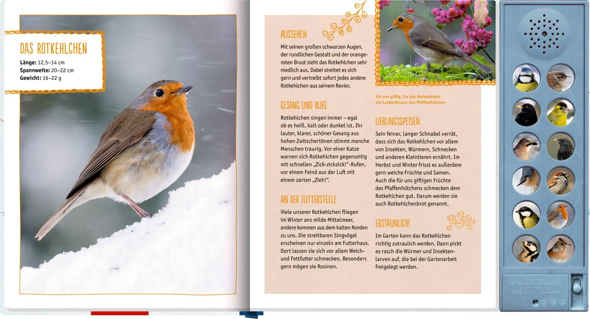 Bild: 9783649650683 | Vögel im Winter bei dir zu Gast | Mit 12 echten Vogelstimmen | Oftring
