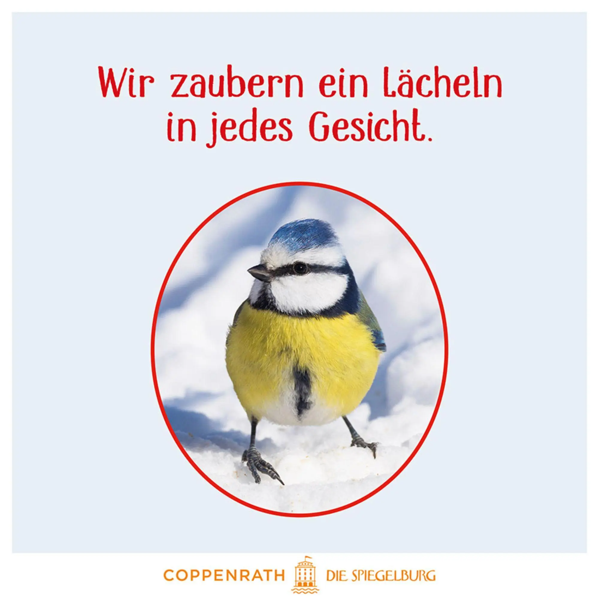 Bild: 9783649650683 | Vögel im Winter bei dir zu Gast | Mit 12 echten Vogelstimmen | Oftring