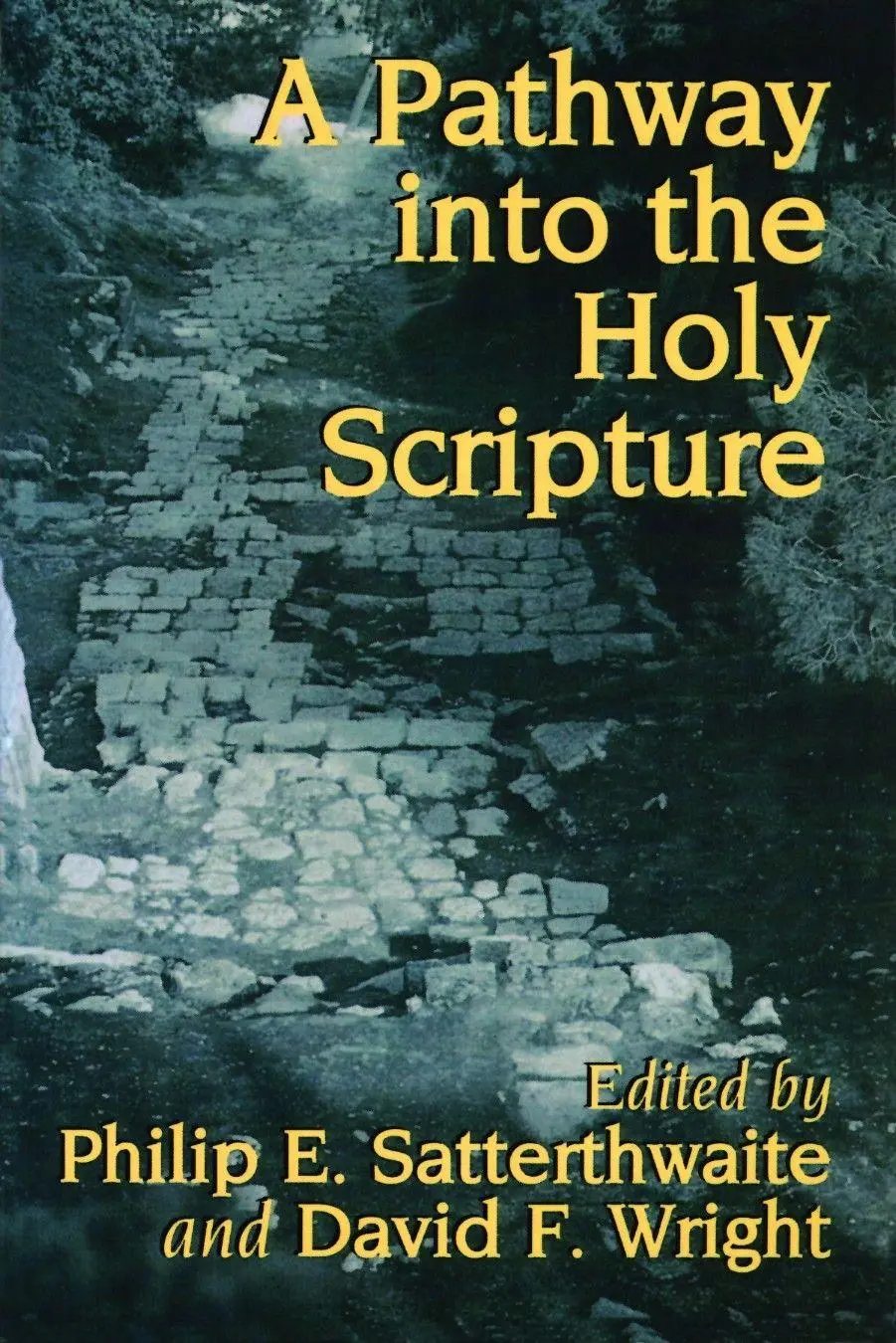 Cover: 9780802840783 | A Pathway into the Holy Scripture | Philip E. Satterthwaite (u. a.)