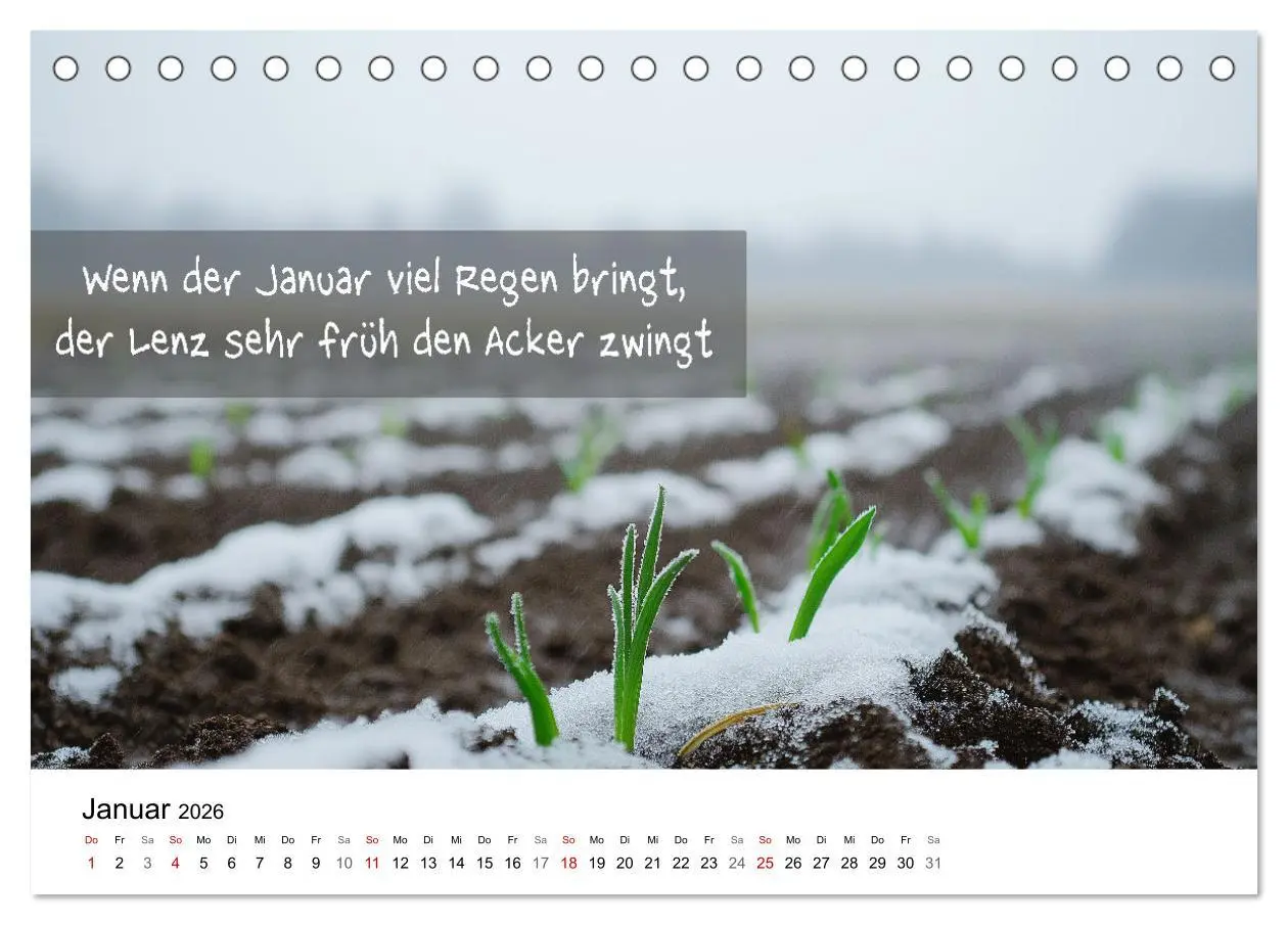 Bild: 9783457340783 | Bauernregeln Kalender - Rhythmus der Jahreszeiten (Tischkalender...