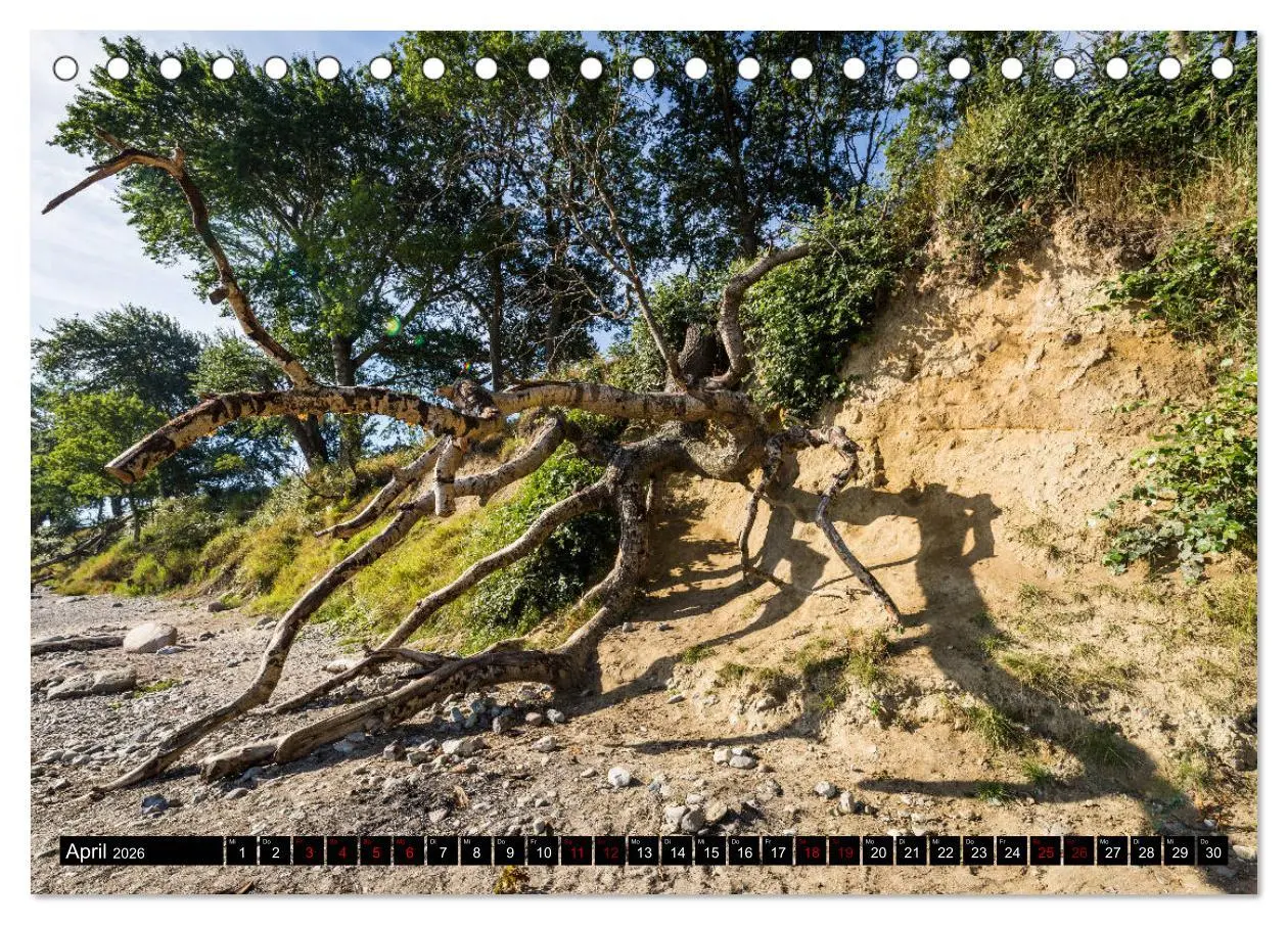 Bild: 9783457890783 | Insel Fehmarn - Impressionen eines Sommertages an der Ostsee...