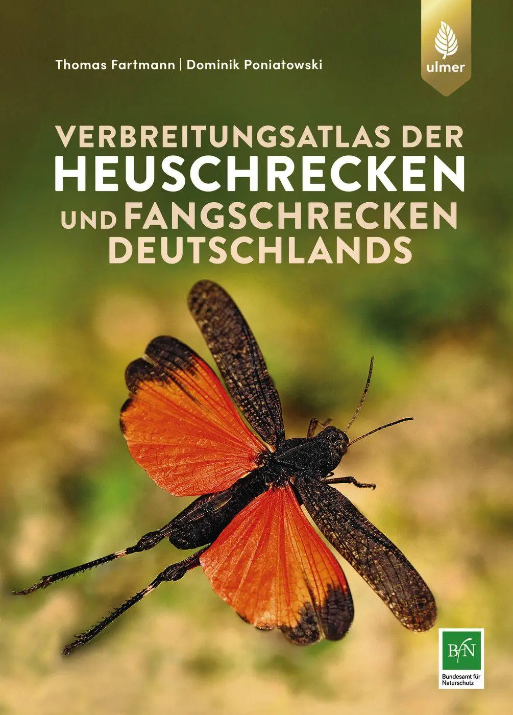 Cover: 9783818620783 | Verbreitungsatlas der Heuschrecken und Fangschrecken Deutschlands