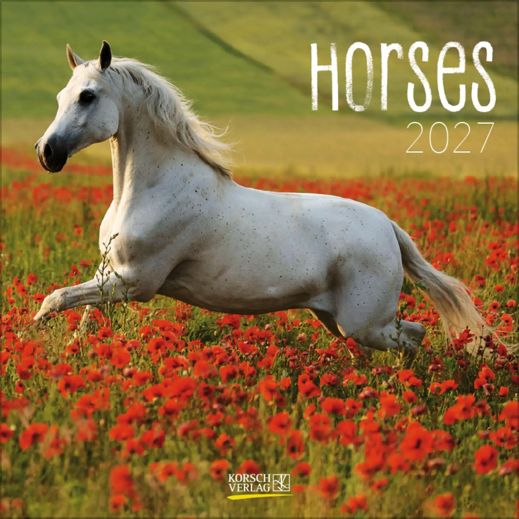 Cover: 9783819300783 | Horses 2027 | Verlag Korsch | Kalender | 13 S. | Deutsch | 2027