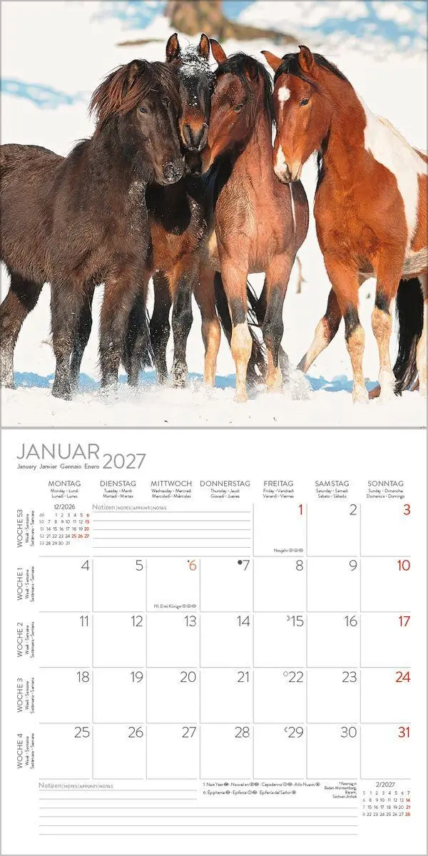 Bild: 9783819300783 | Horses 2027 | Verlag Korsch | Kalender | 13 S. | Deutsch | 2027