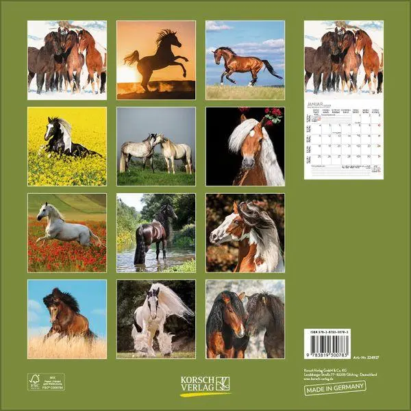 Bild: 9783819300783 | Horses 2027 | Verlag Korsch | Kalender | 13 S. | Deutsch | 2027