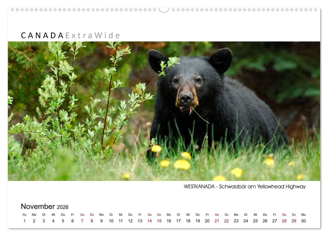 Bild: 9783457700983 | Impressionen aus Westkanada (Wandkalender 2026 DIN A2 quer),...