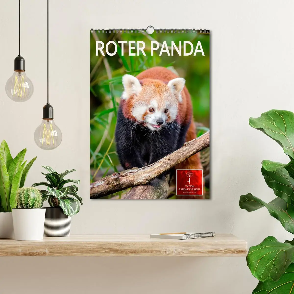 Bild: 9783516410983 | Roter Panda (Wandkalender 2026 DIN A3 hoch), CALVENDO Monatskalender