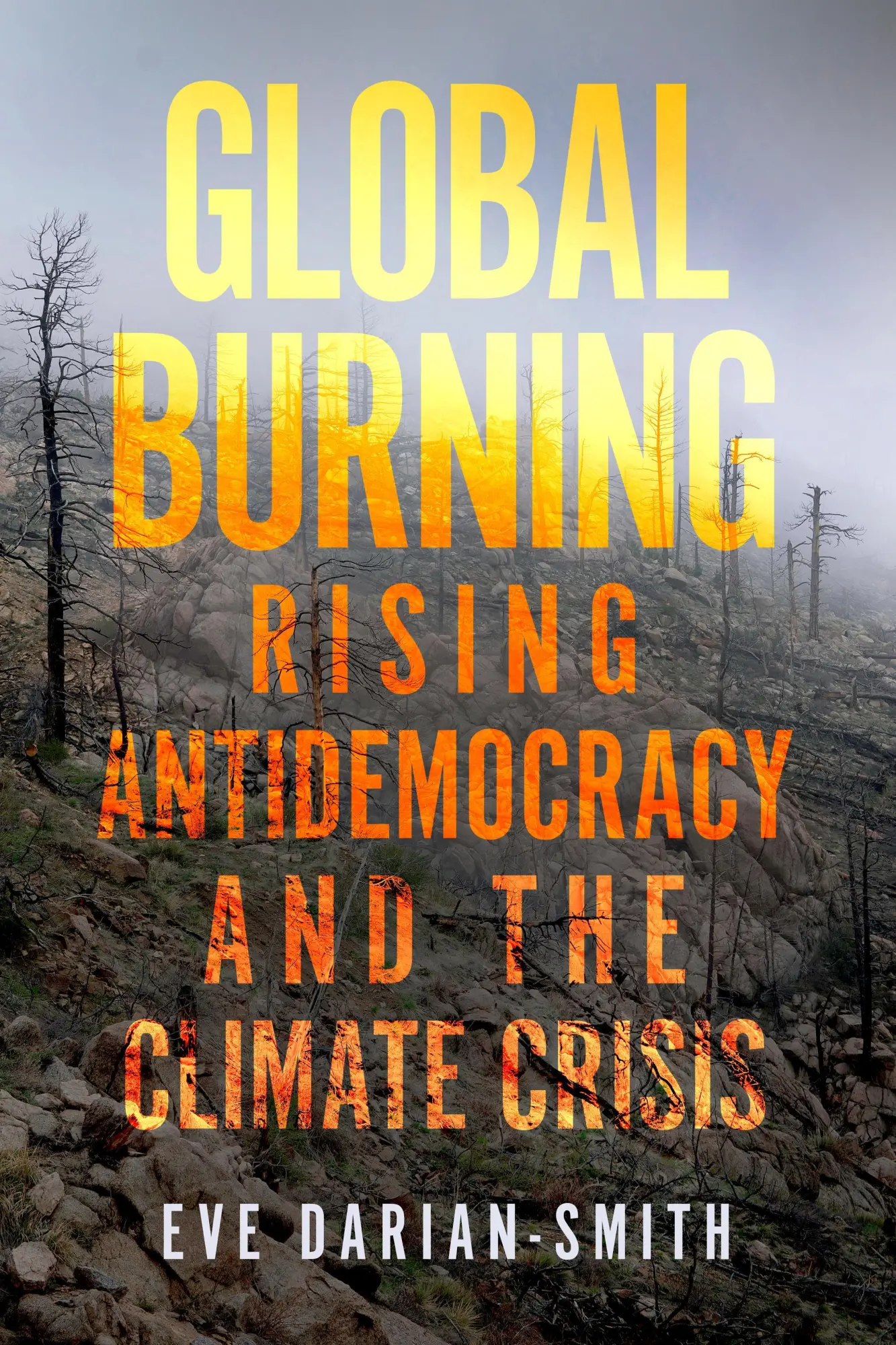 Cover: 9781503631083 | Global Burning | Rising Antidemocracy and the Climate Crisis | Buch