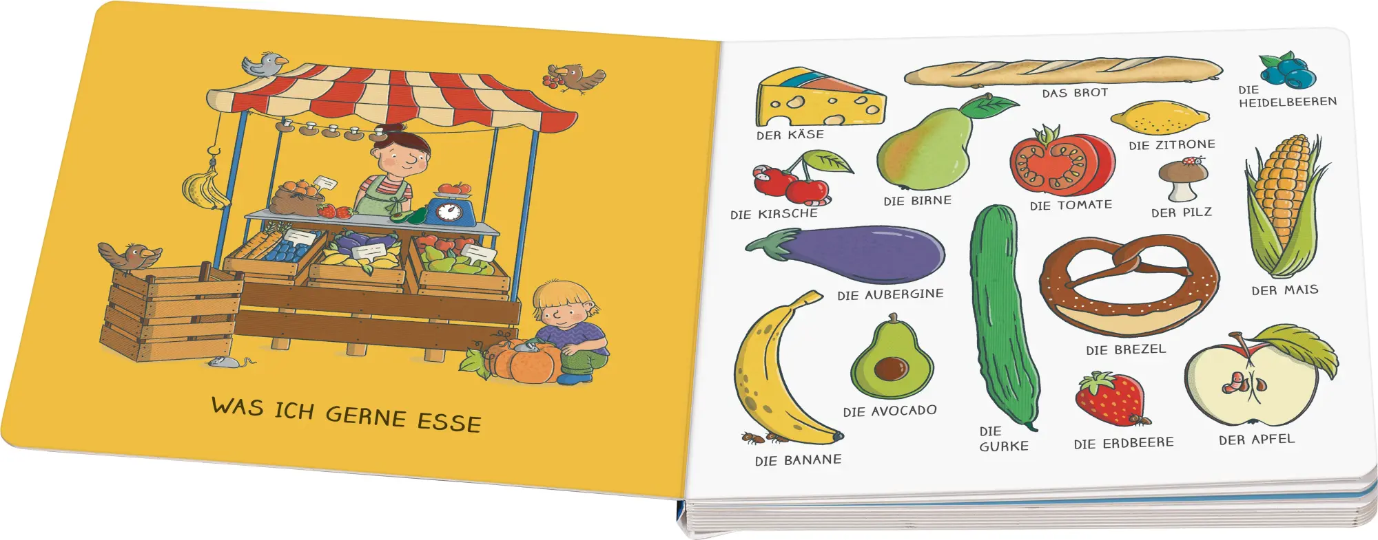 Bild: 9783473421183 | Meine Wörter - Meine Welt: Mein erstes buntes Wörterbuch | Julia Maly