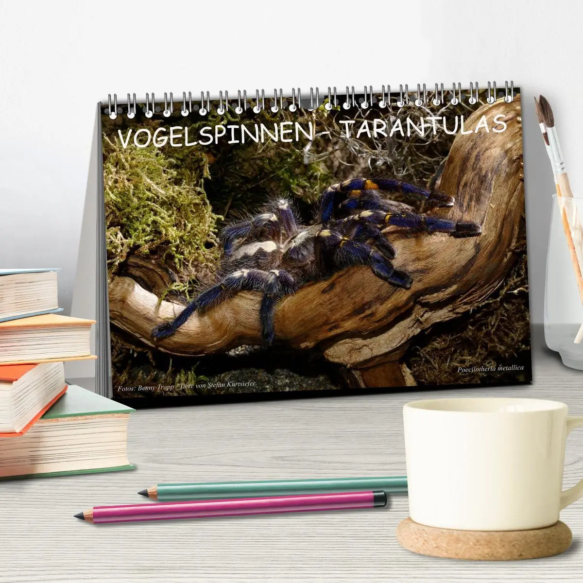 Bild: 9783516151183 | Vogelspinnen - Tarantulas (Tischkalender 2026 DIN A5 quer),...