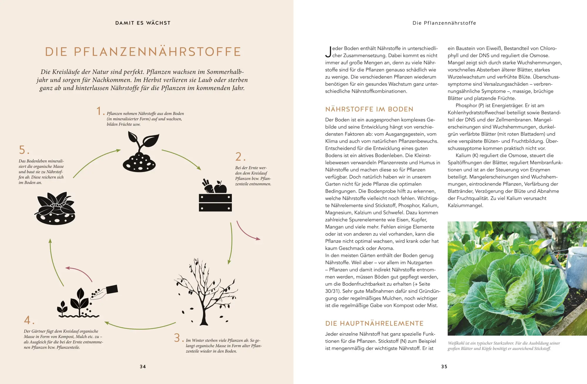 Bild: 9783833871283 | Nachhaltig gärtnern | Burkhard Bohne | Buch | GU Garten extra | 176 S.