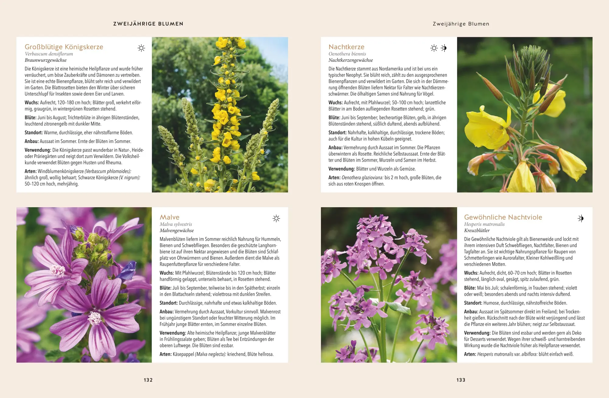 Bild: 9783833871283 | Nachhaltig gärtnern | Burkhard Bohne | Buch | GU Garten extra | 176 S.