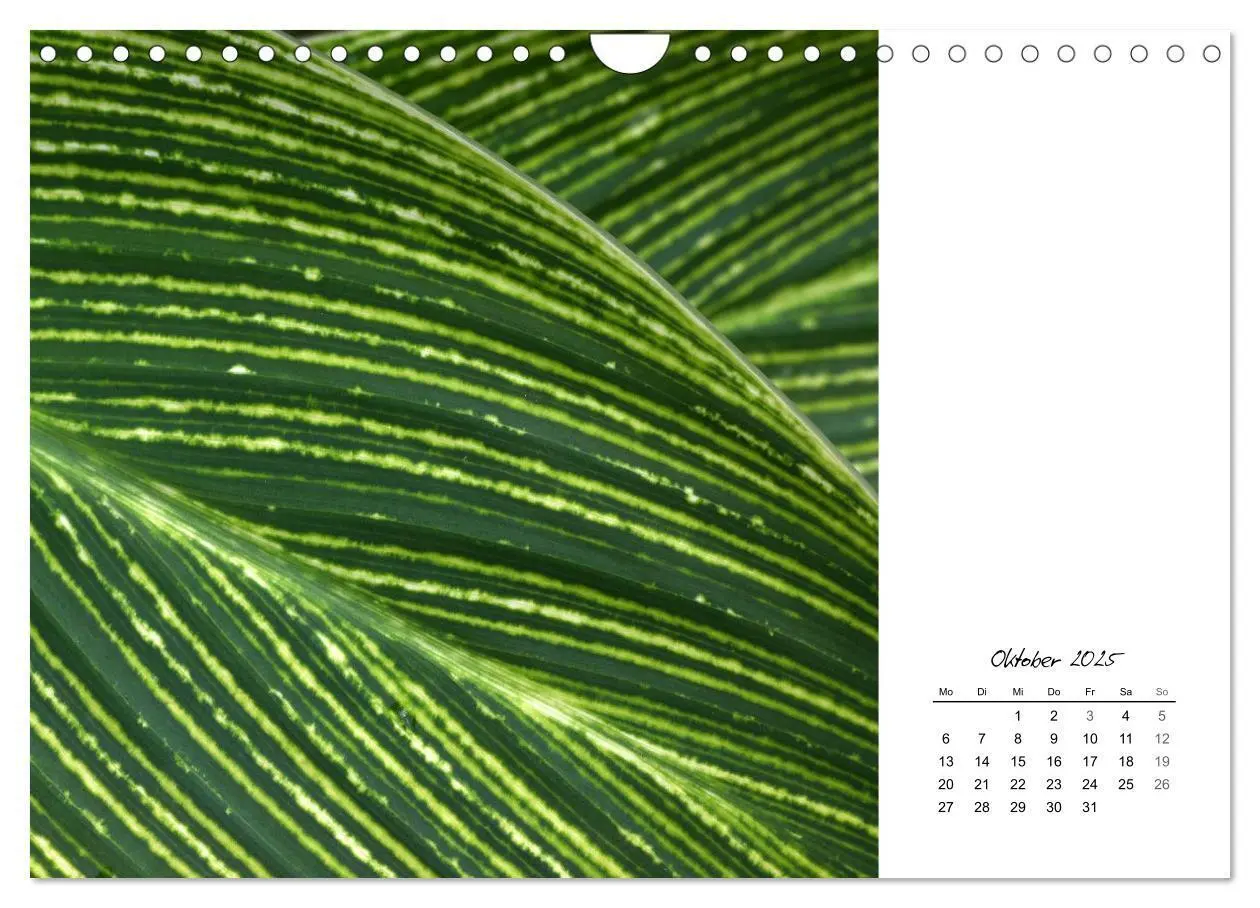Bild: 9783435641383 | Blattkunst (Wandkalender 2025 DIN A4 quer), CALVENDO Monatskalender